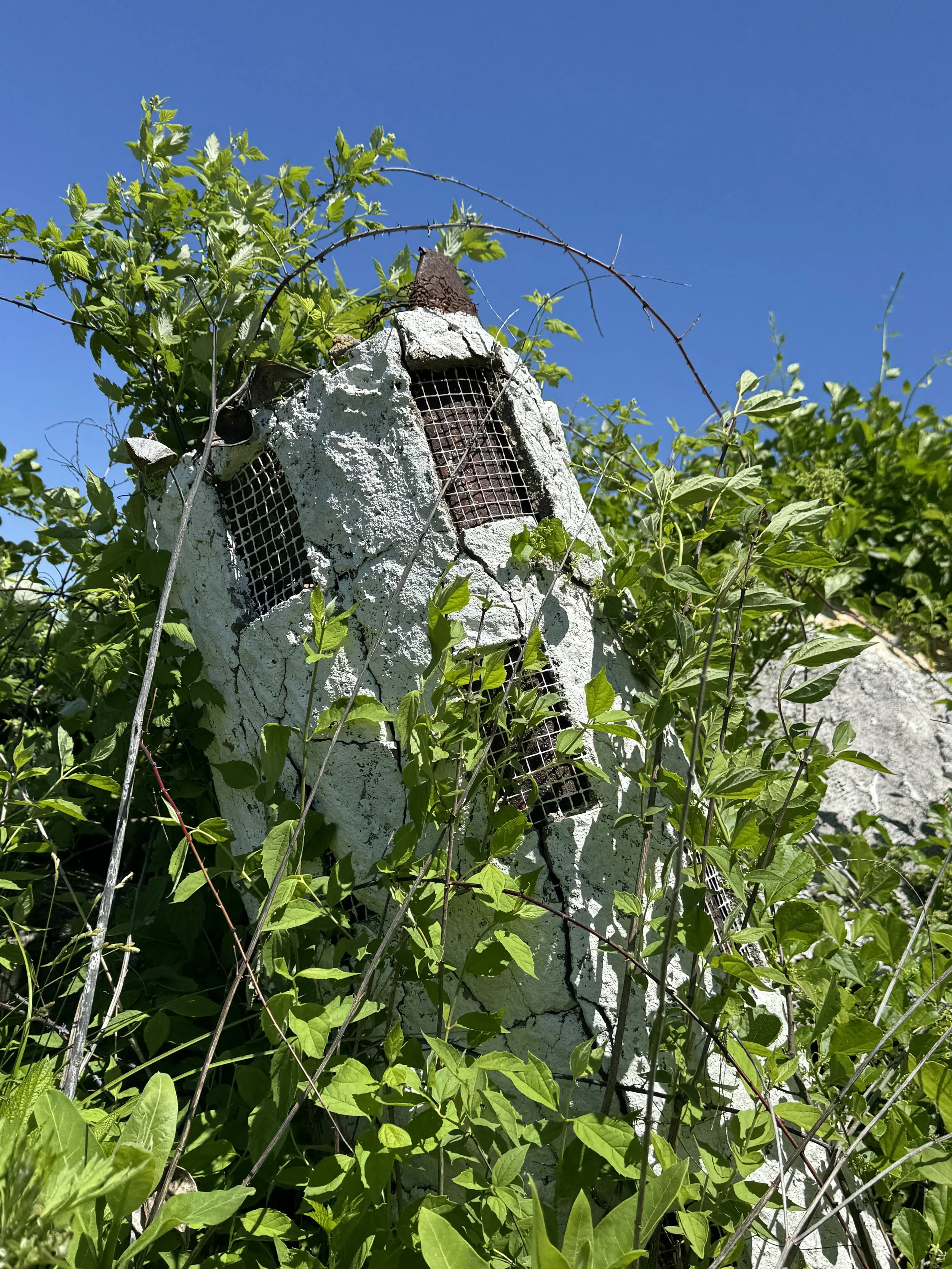 05-19-25 - Holyland 22.JPG