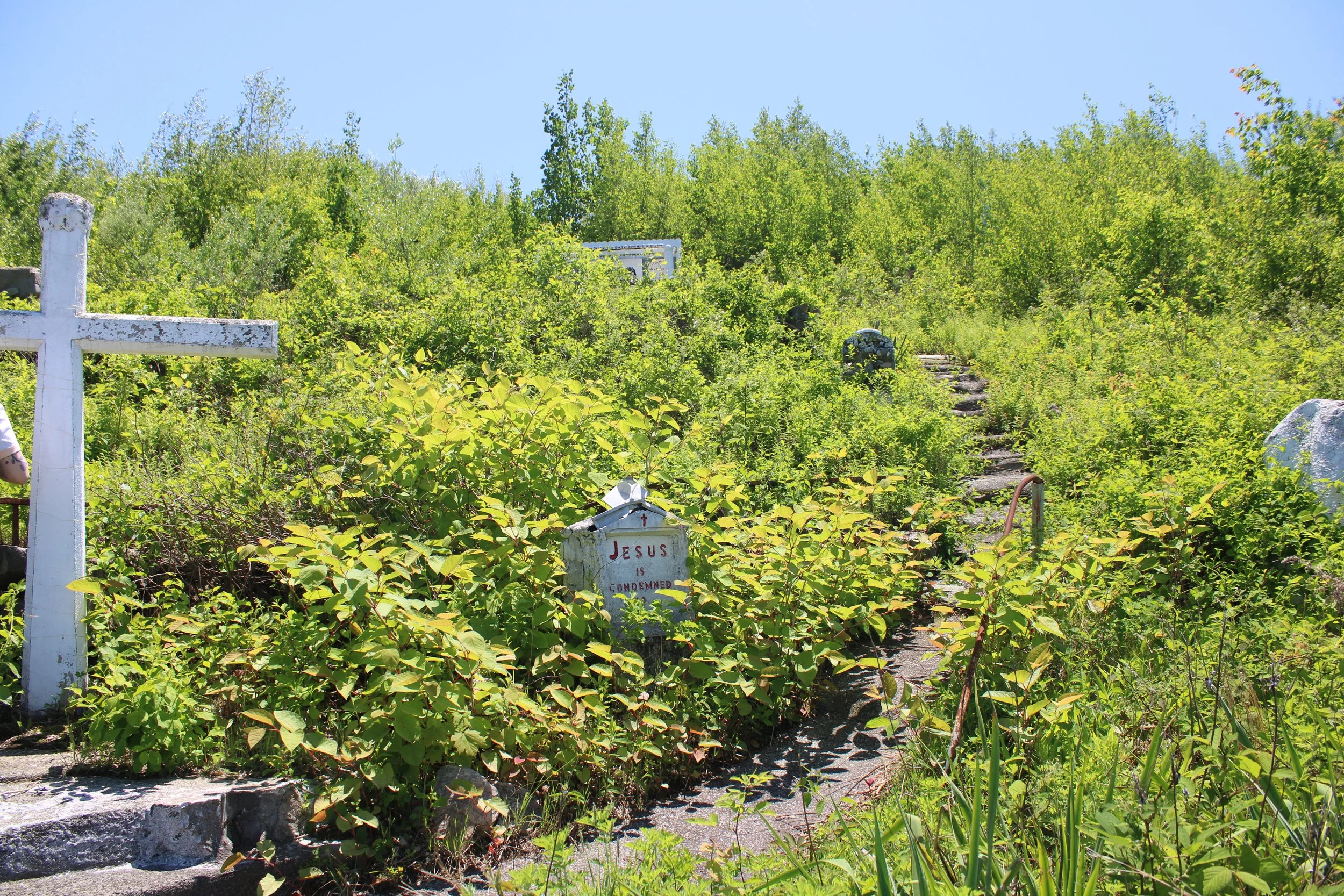 05-19-25 - Dads pics 26.JPG