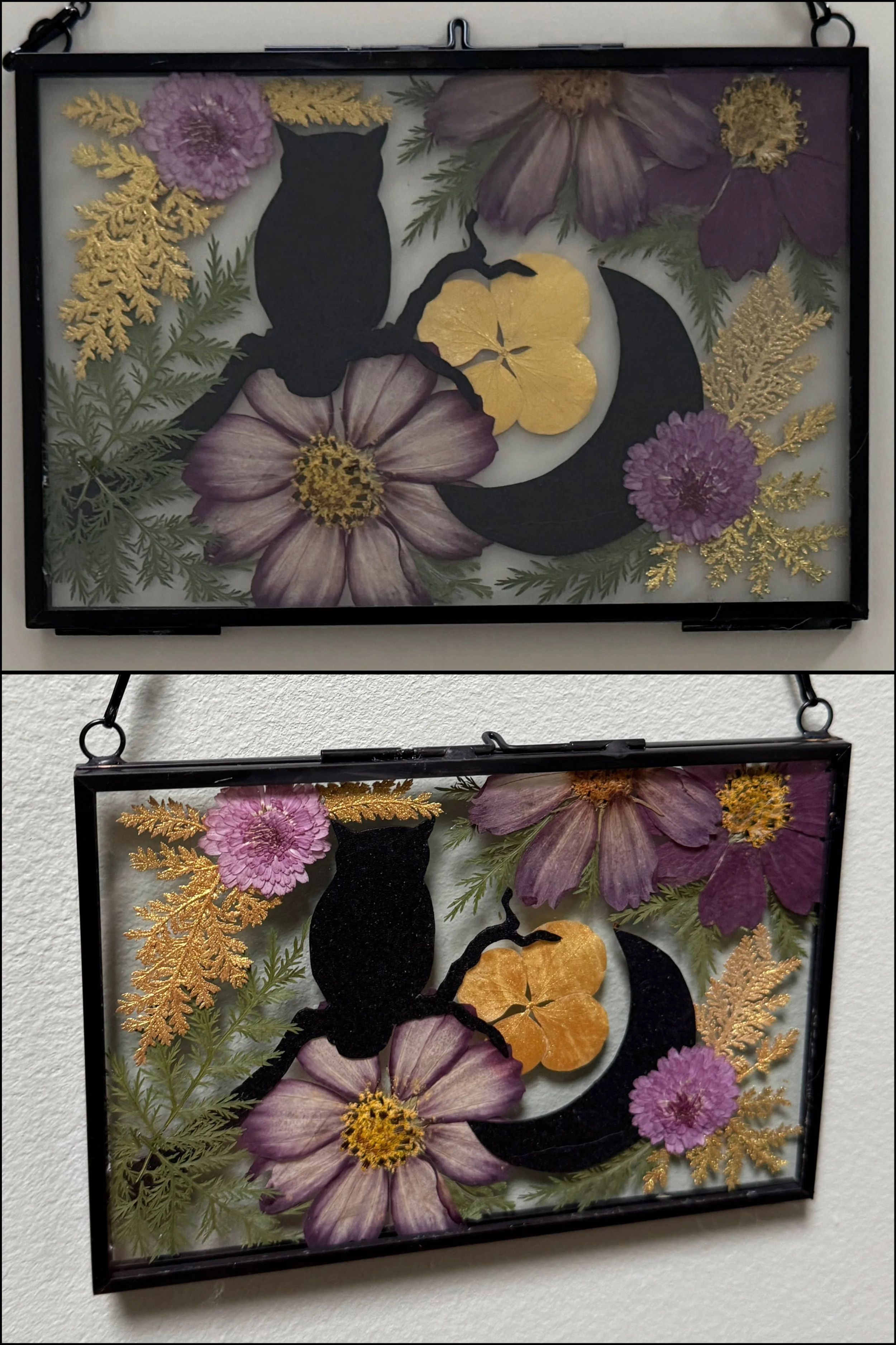 12-31-25 - Owl moon 06.JPEG