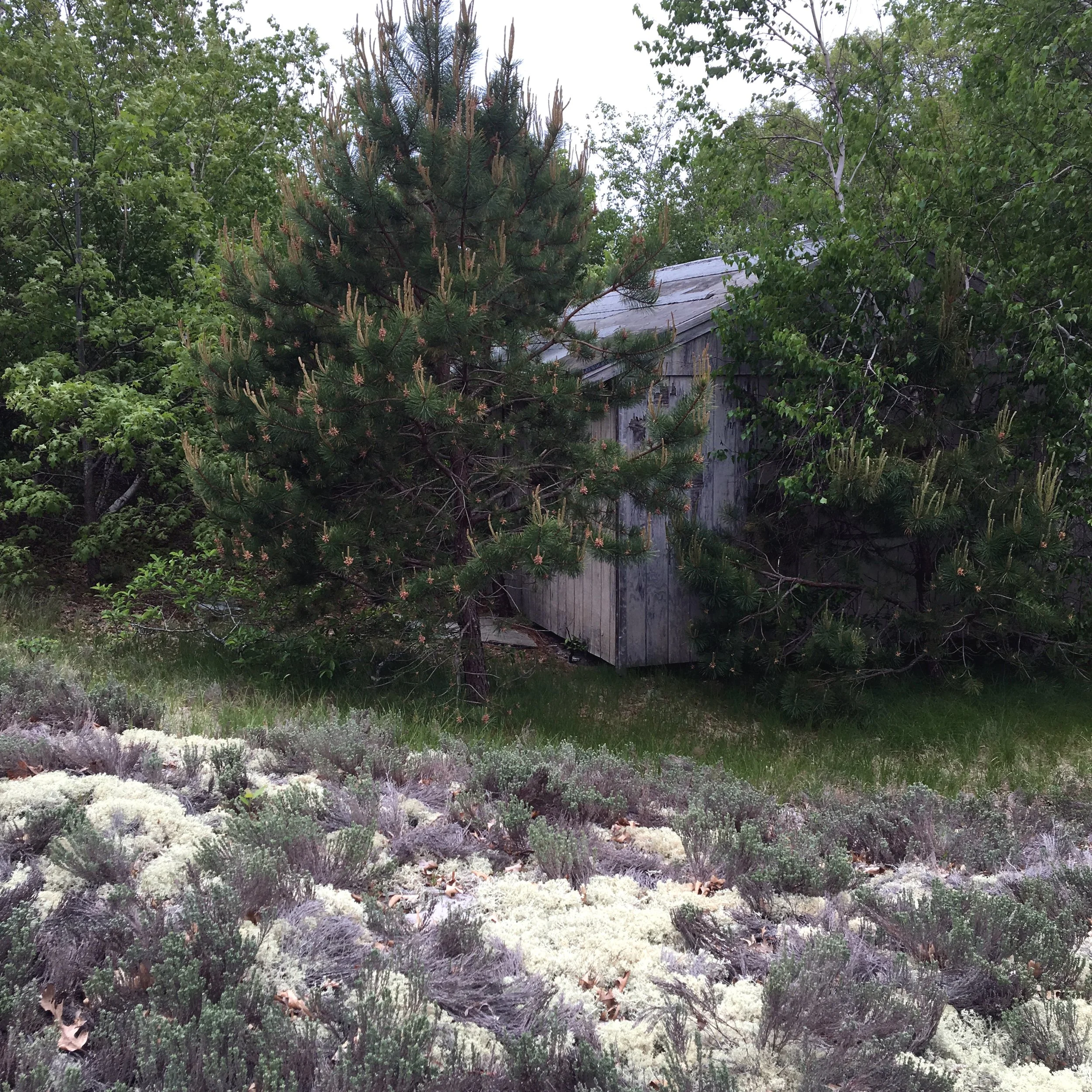 05-29-16 - Cabin 02.JPG