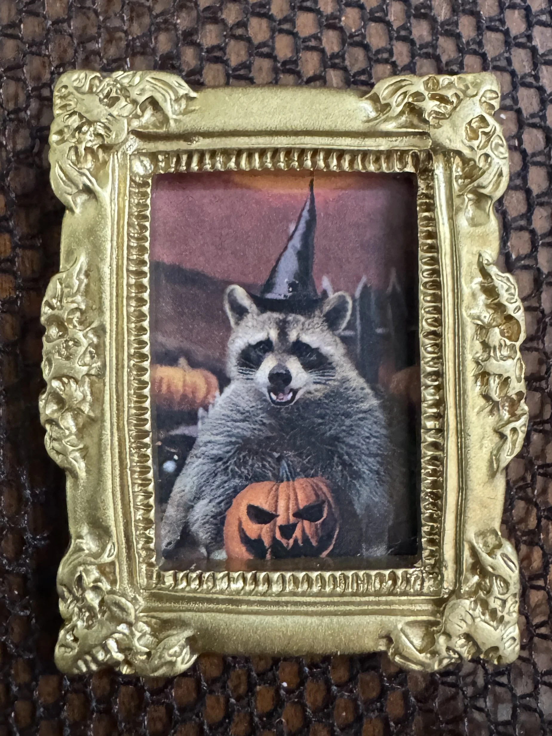2026 - Raccoon.JPEG