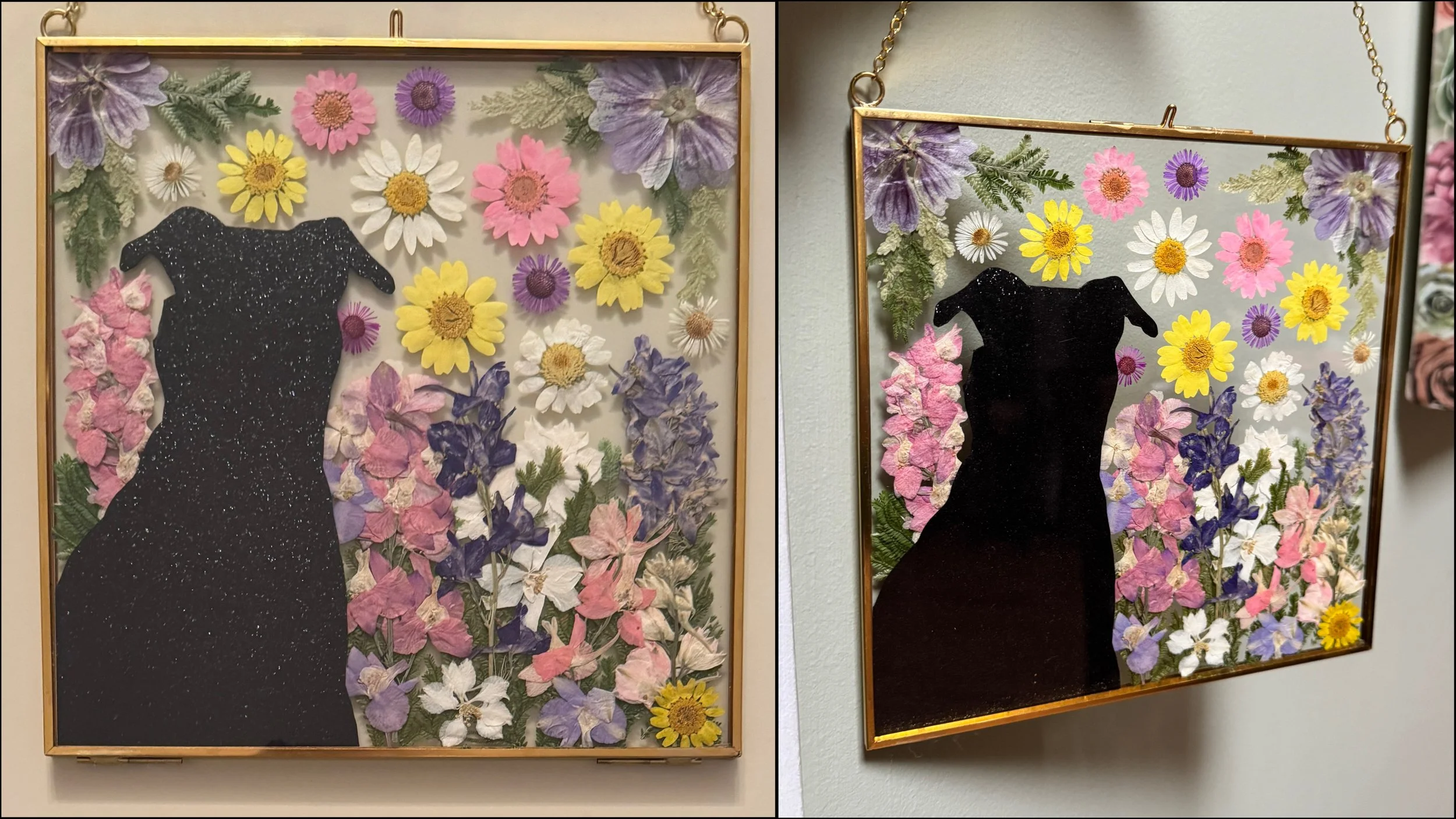 11-24-25 - Dog for Kristin 07.JPEG