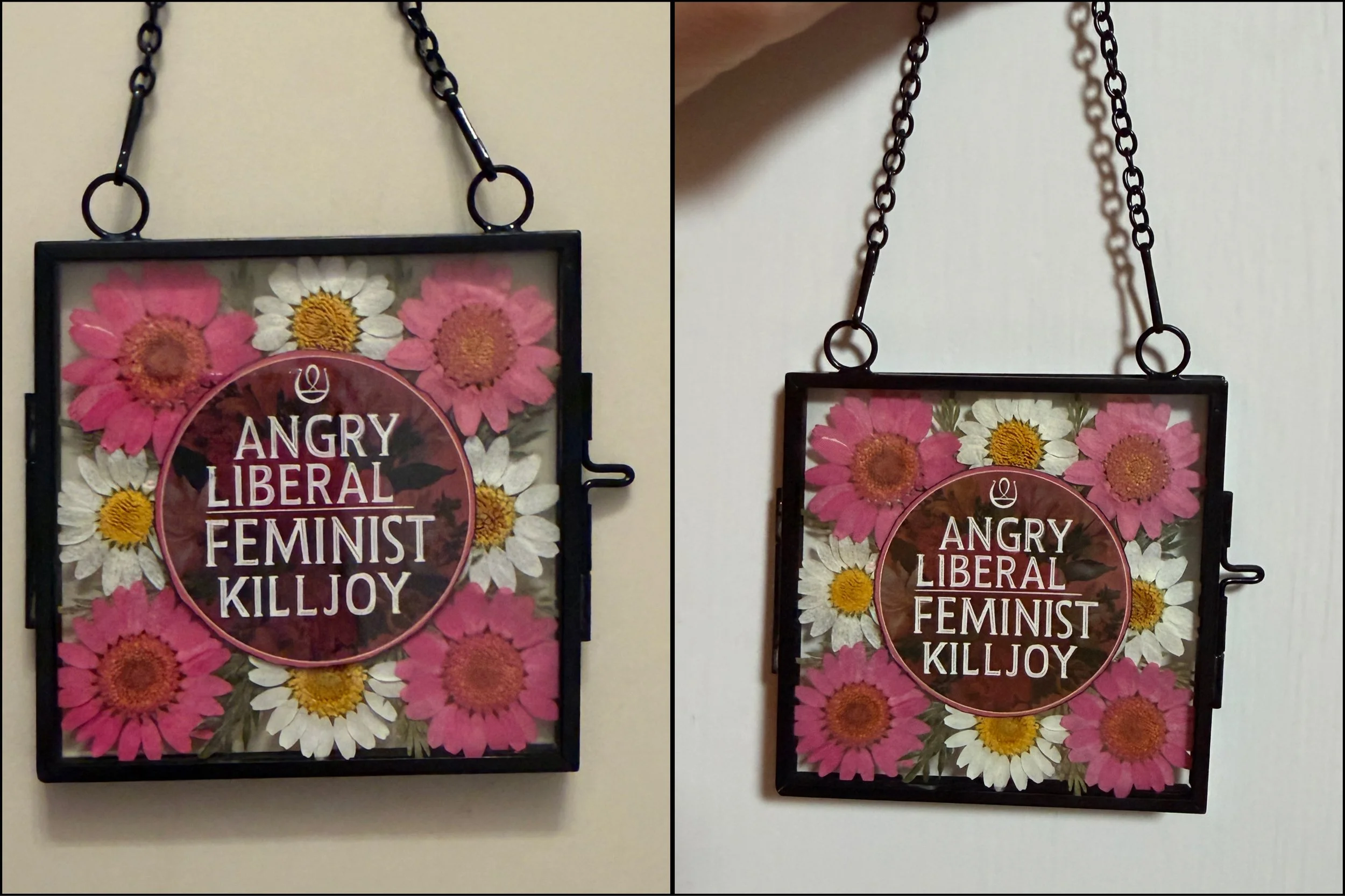 07-17-26 - Feminist Killjoy 06.jpeg