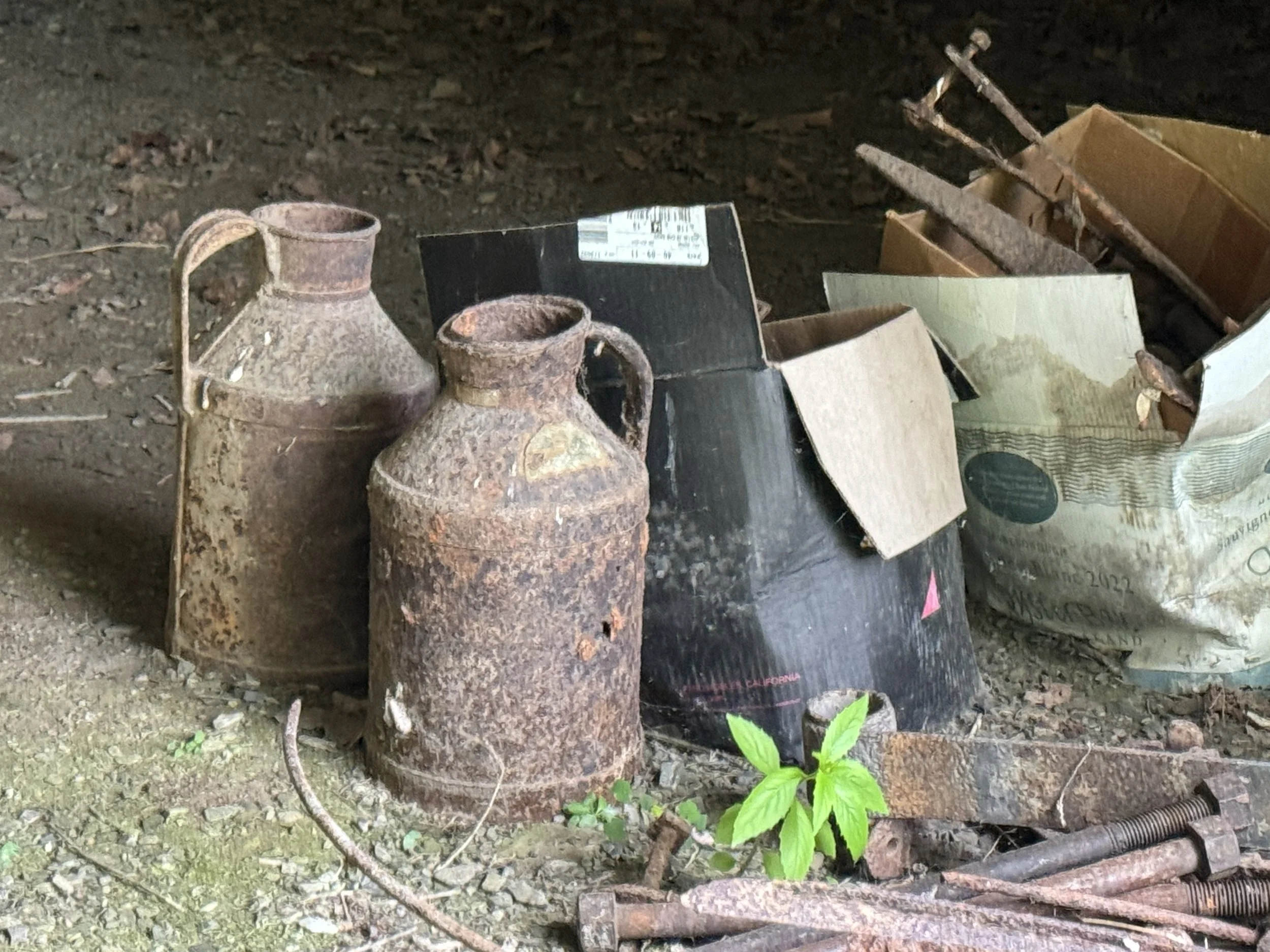 08-03-24 - Williams Barn 11.JPEG