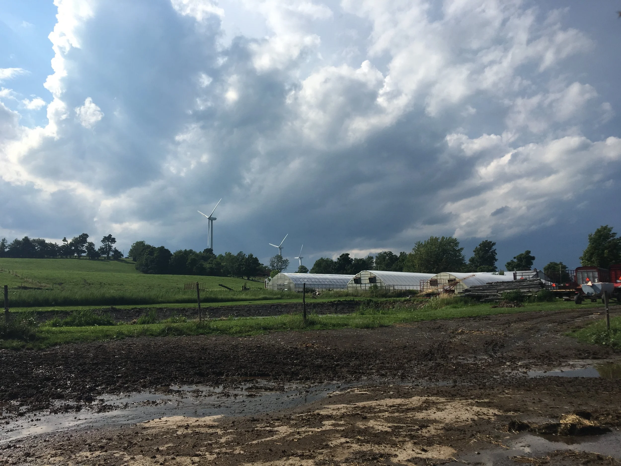 08-13-16 - Farm - View 06.JPG