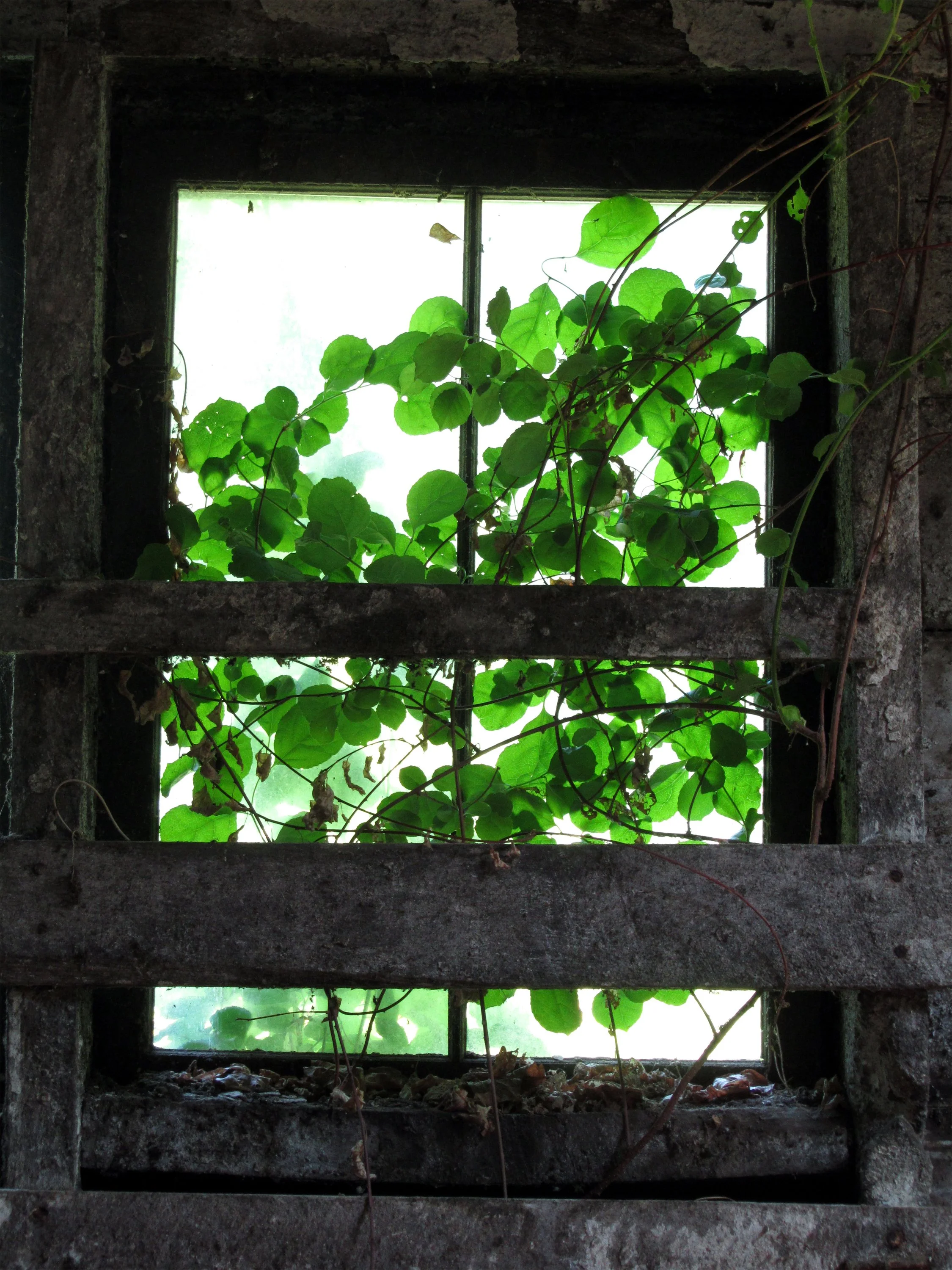 Building 1 - Window 1.jpg