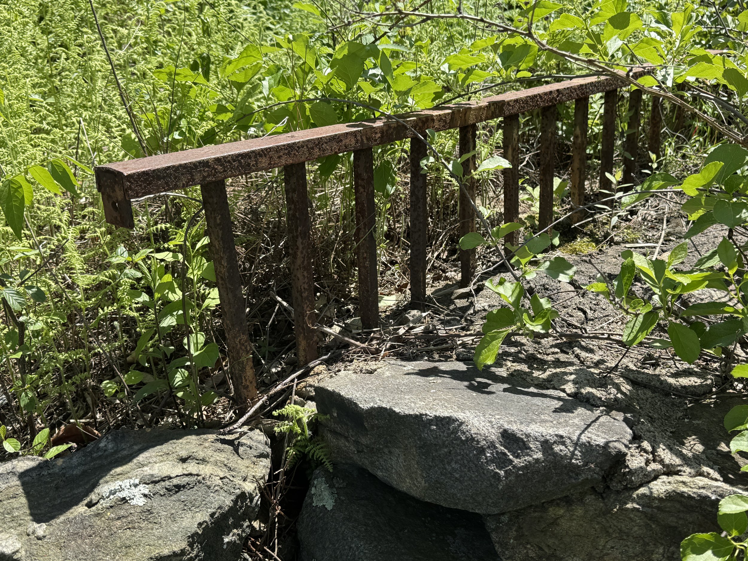 05-19-25 - Holyland 35.JPG