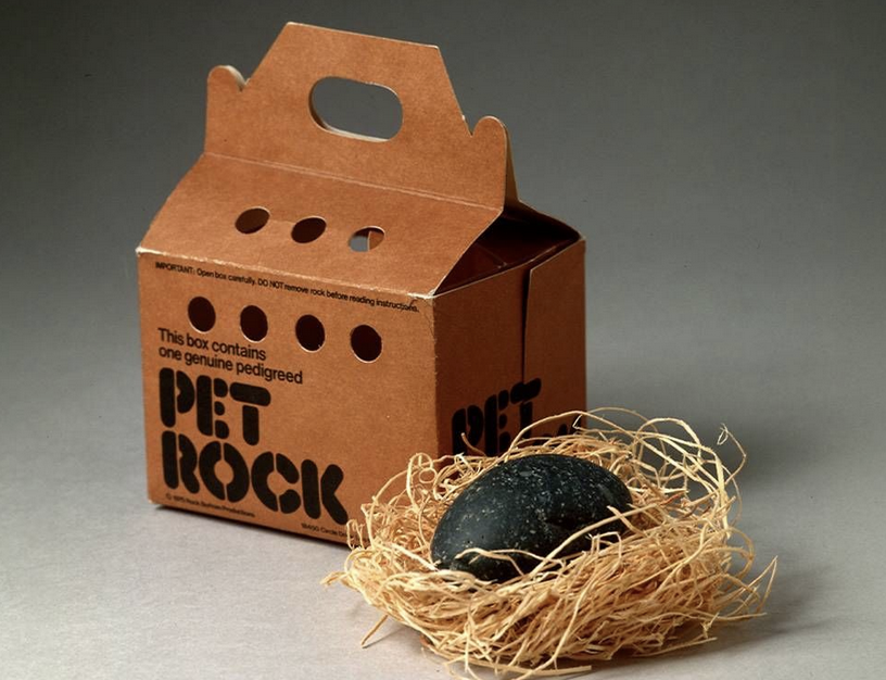 Pet Rock Turns 50, nexavenue.org