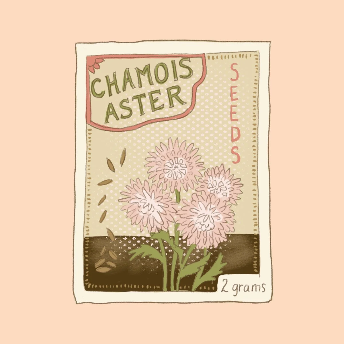 March Into Spring