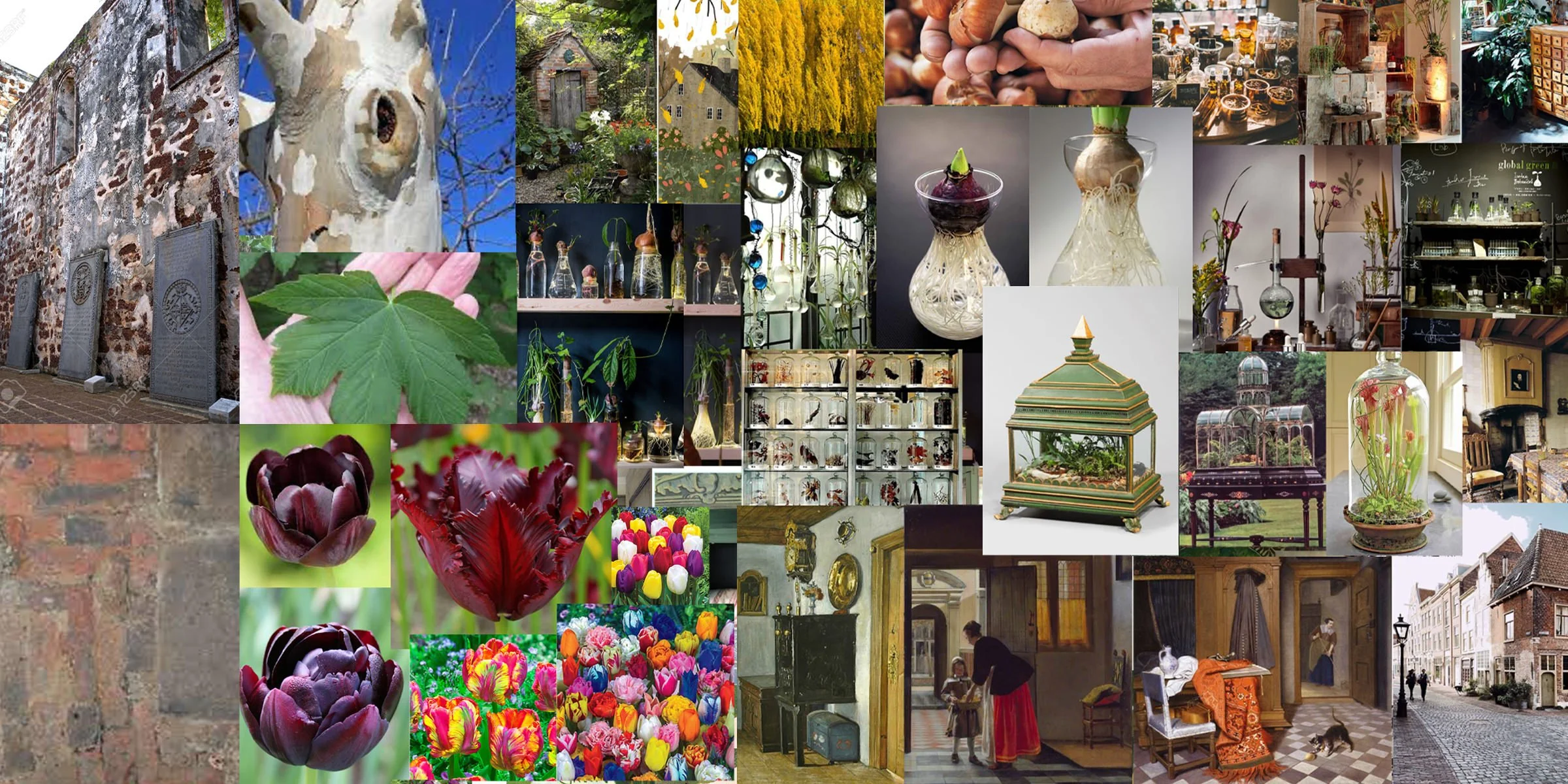 Mood board of picture ideas