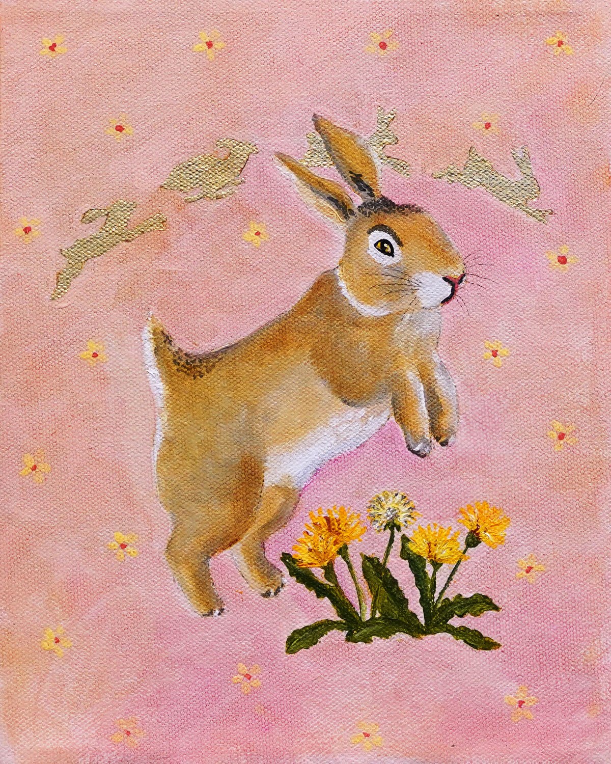Bunny-1.jpg