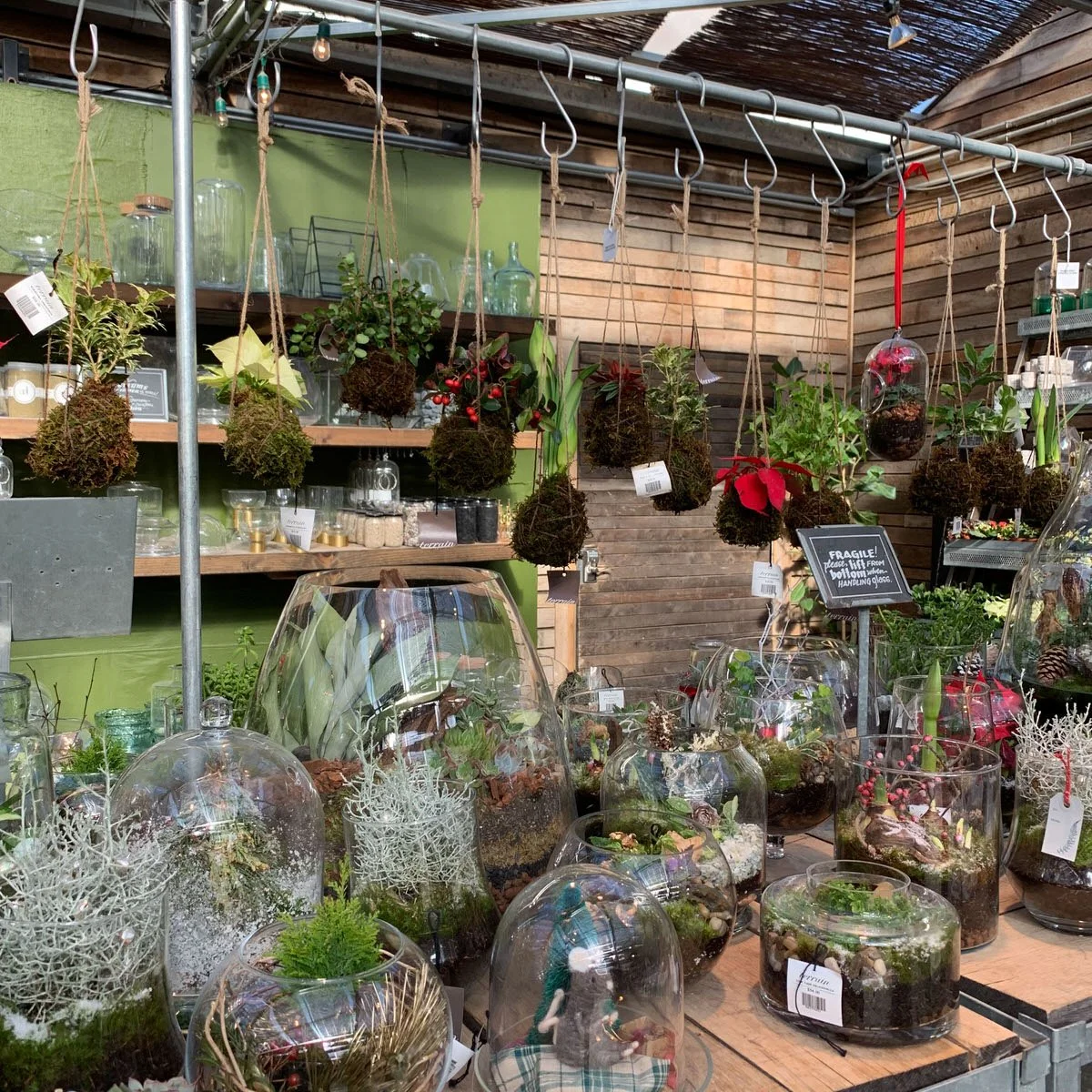 Glass Dome Terrariums