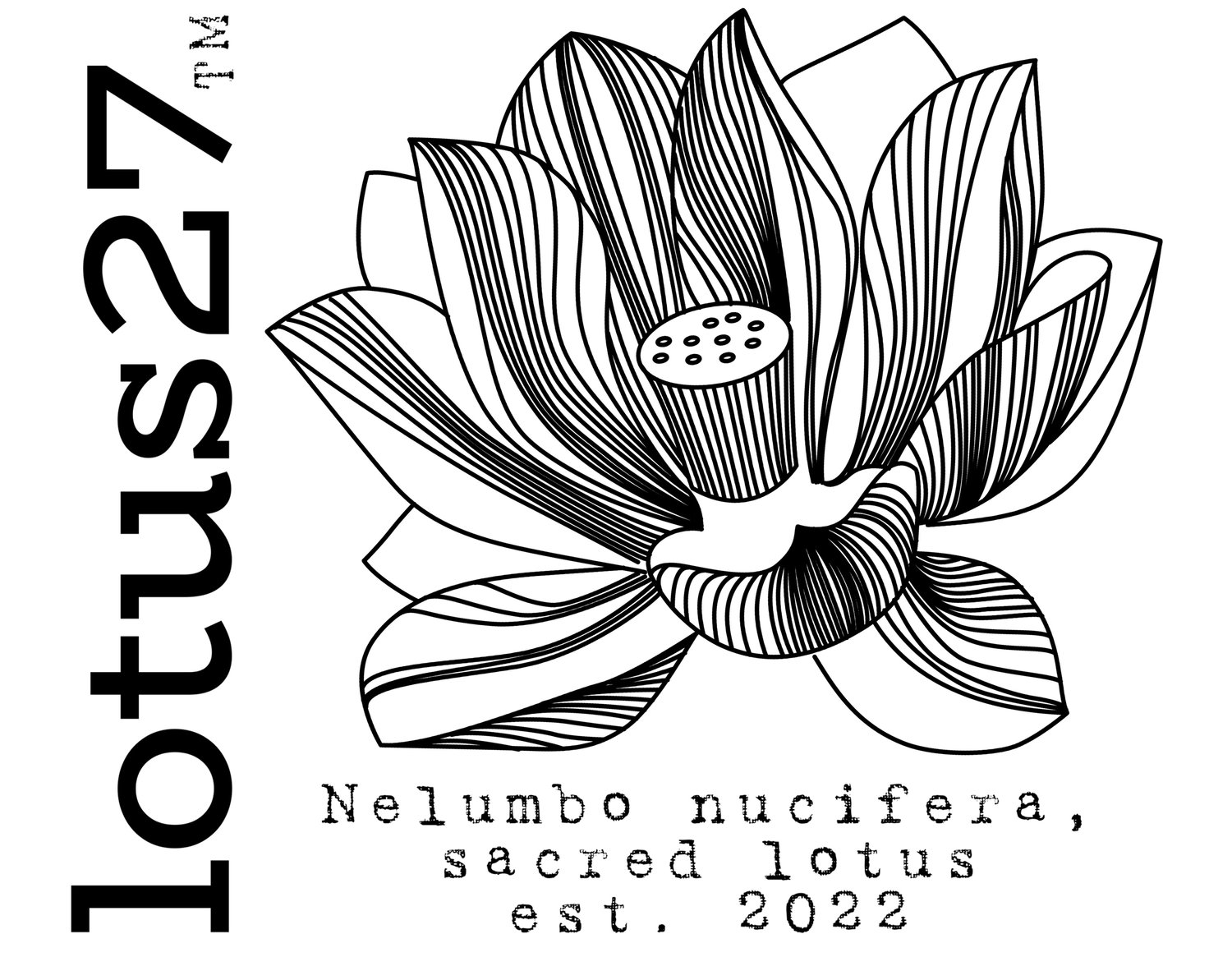 lotus27™inc