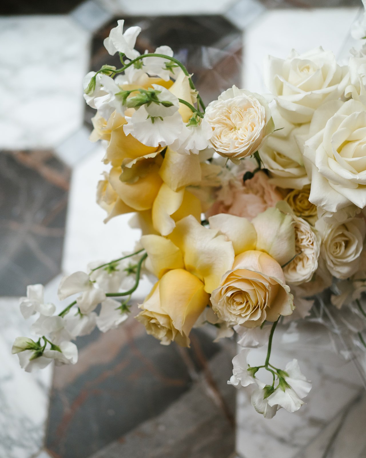 Clare and Ant-027.jpg