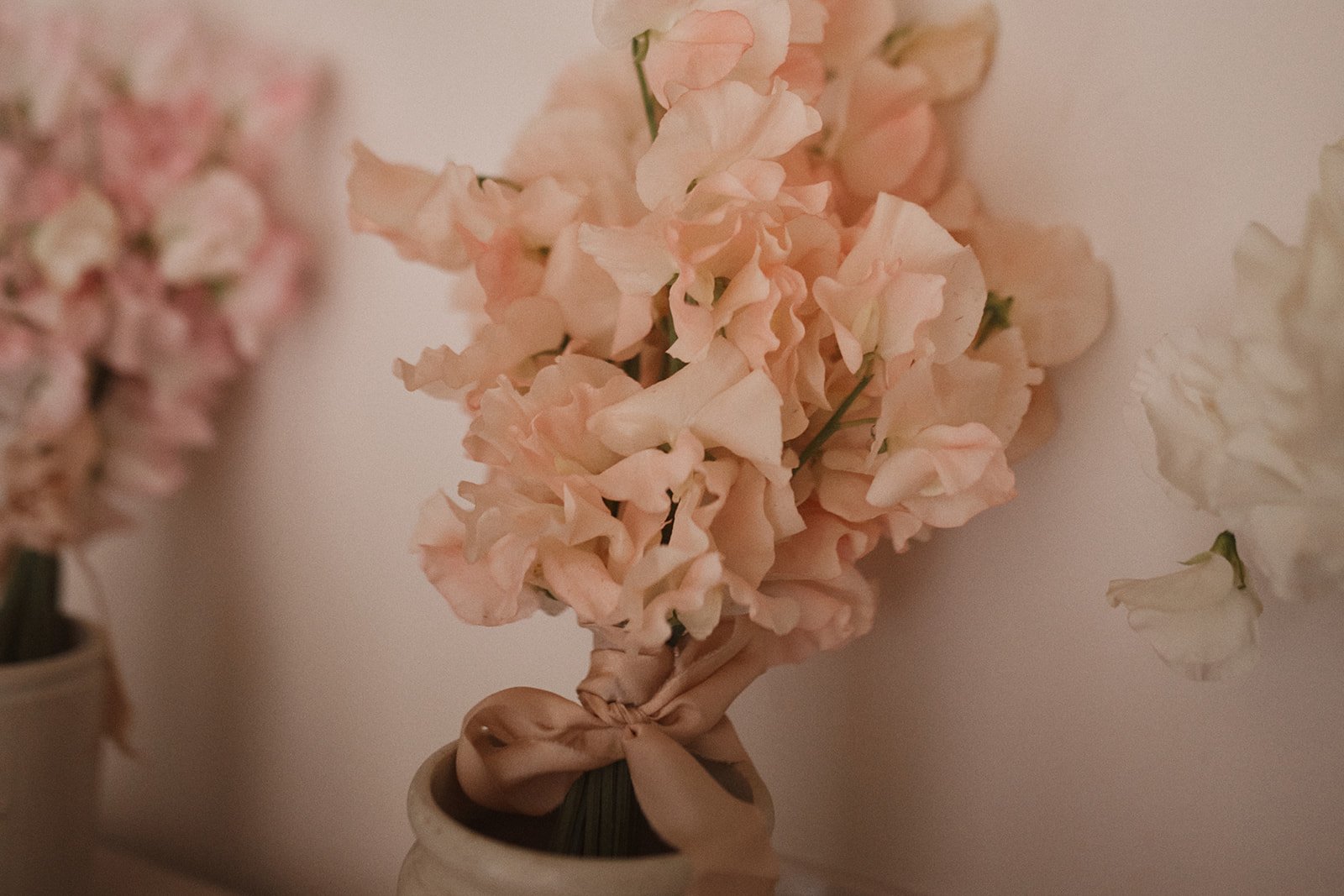 Sweet Pea Bunches by Blume Studio.jpg