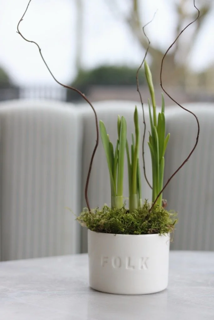 Folk Daffodil Planter Gift Wrapped