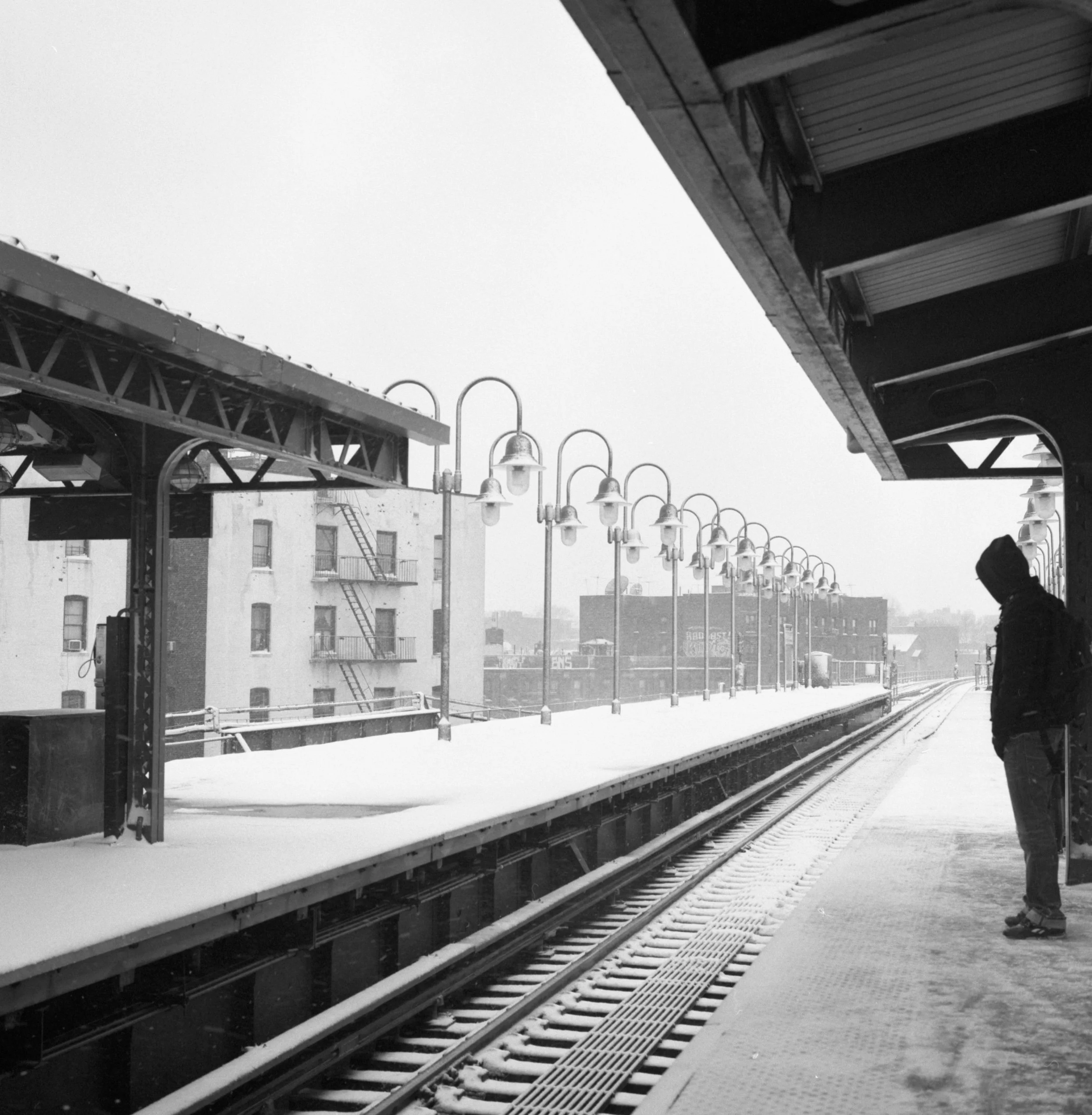 Morning after a winter storm