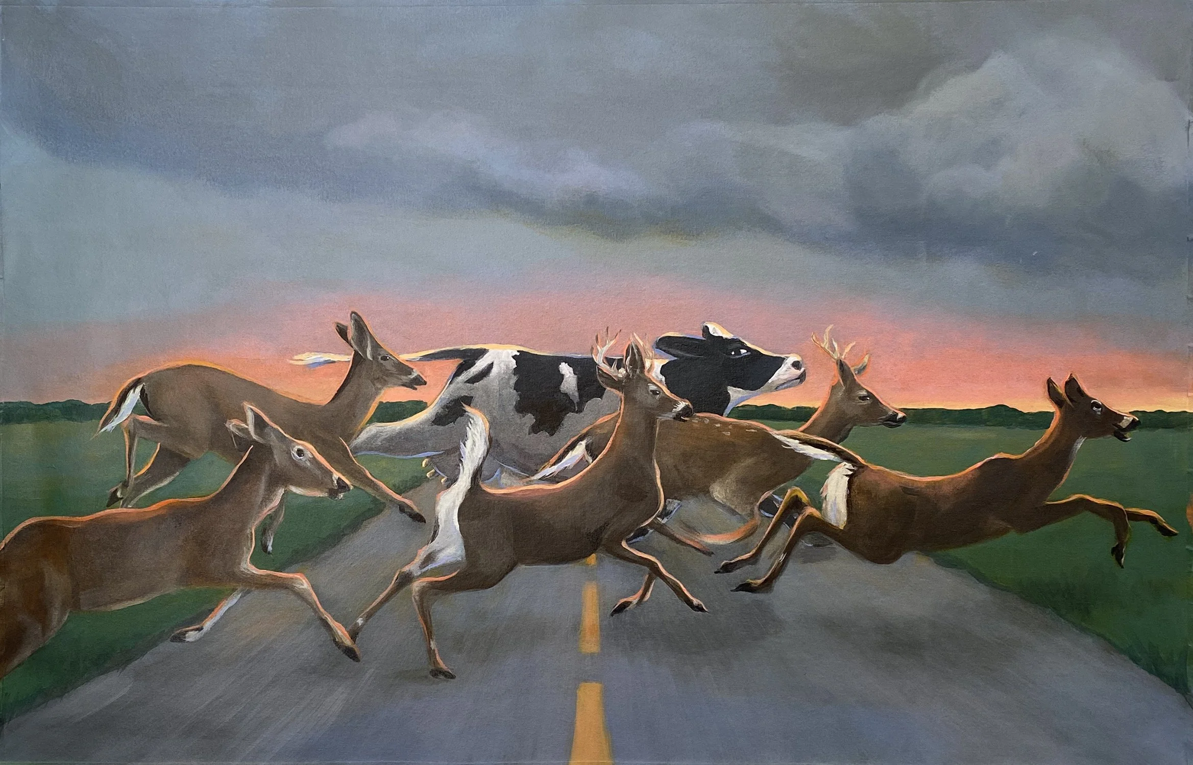 Animals as Individuals: The Work of Artist Jane O’Hara