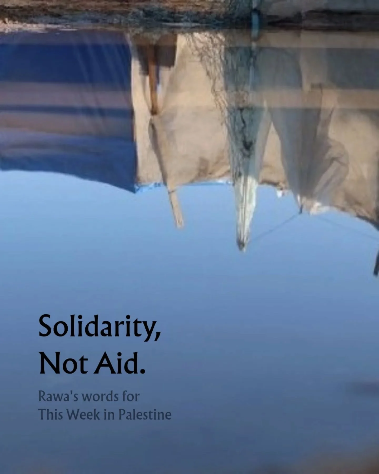 Gazan initiatives are centering collectivity and community-based resilience and manage to reach the most marginalized communities, something that top-down projects often cannot accomplish. Community-led initiatives possess the local knowledge, social