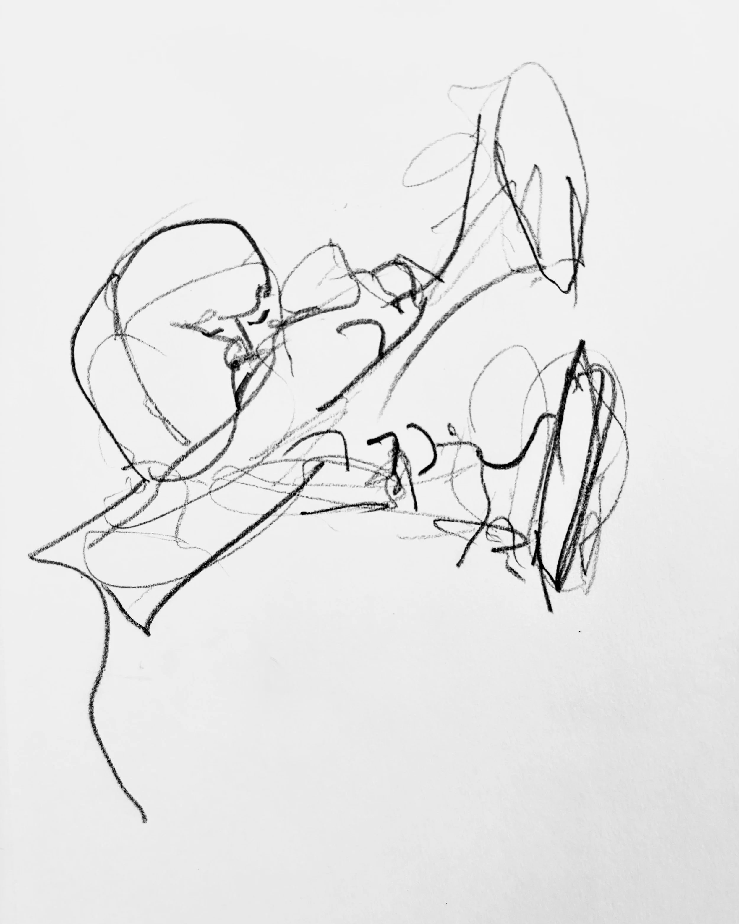 IMG_8947.jpeg