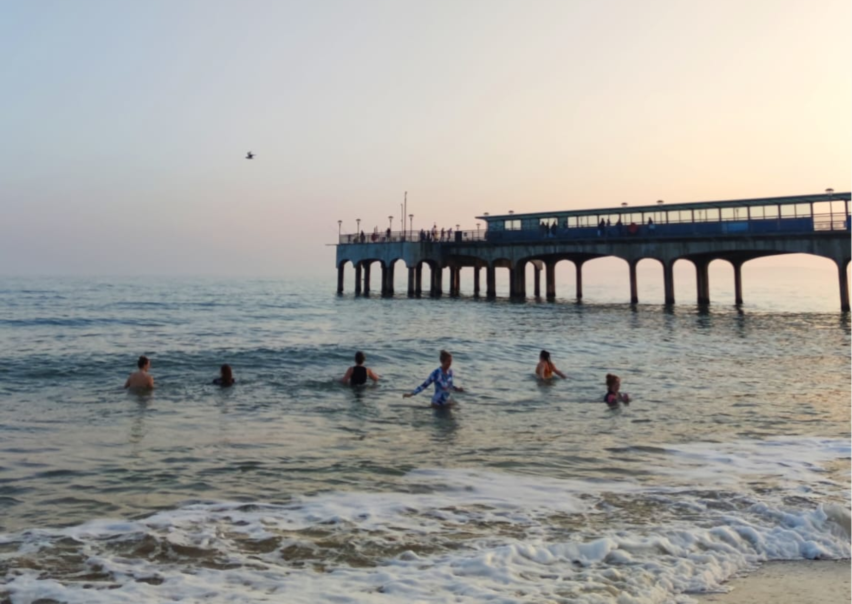OCEAN RESET: FREE MONTHLY COMMUNITY SEA DIP 