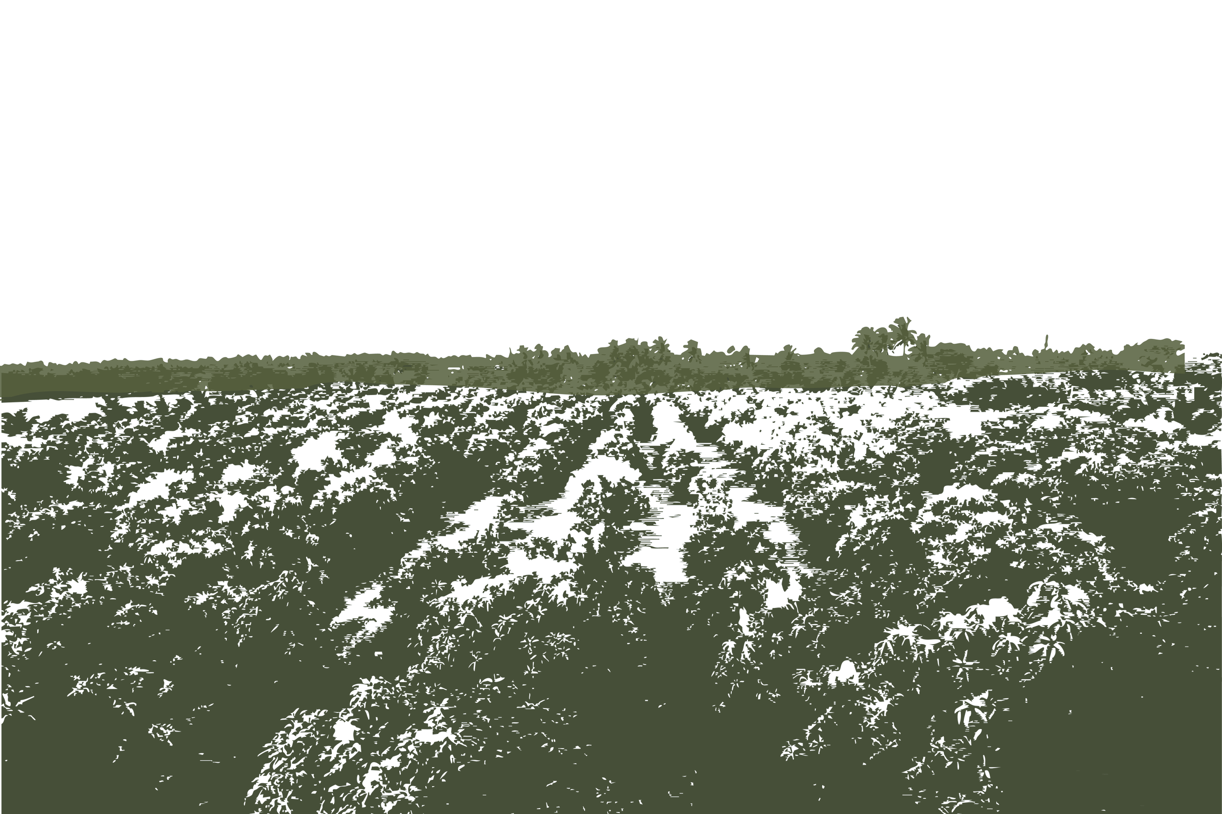 Aam Field Army Green.png
