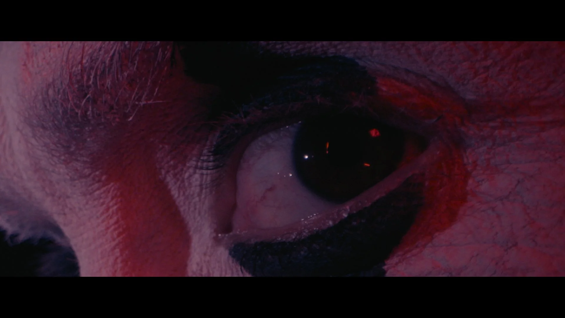 Nahaufnahme eines menschlichen Auges mit dunklem Make-up um das Auge und Haut mit langen Wimpern, im dunklen Licht