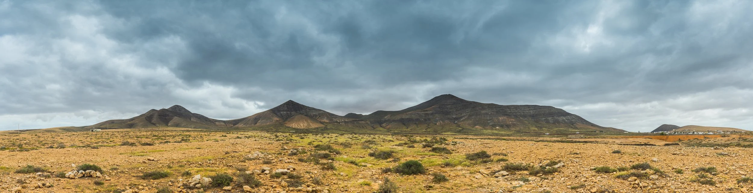 Wüstenlandschaft mit niedrigen Sträuchern und Bergkuppen unter einem bewölkten Himmel.