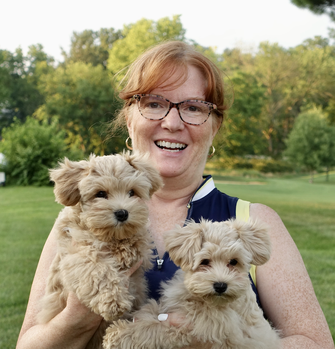 Shawn Hayashi with red schnauzers in PA