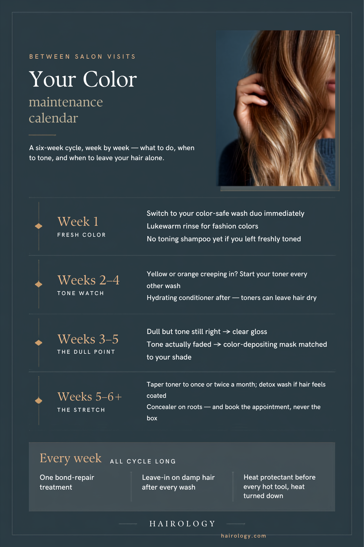 Maintenance Calendar infographic