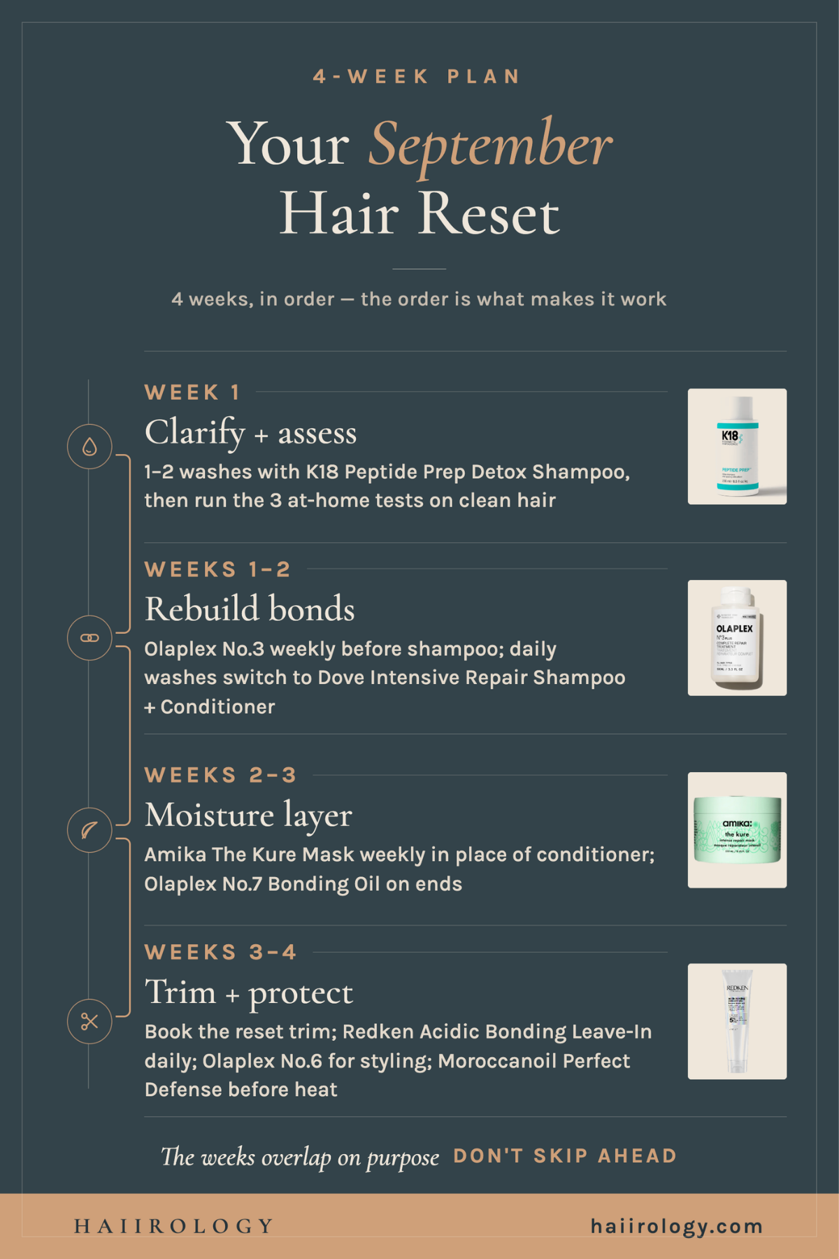 Fall hair reset plan infographic