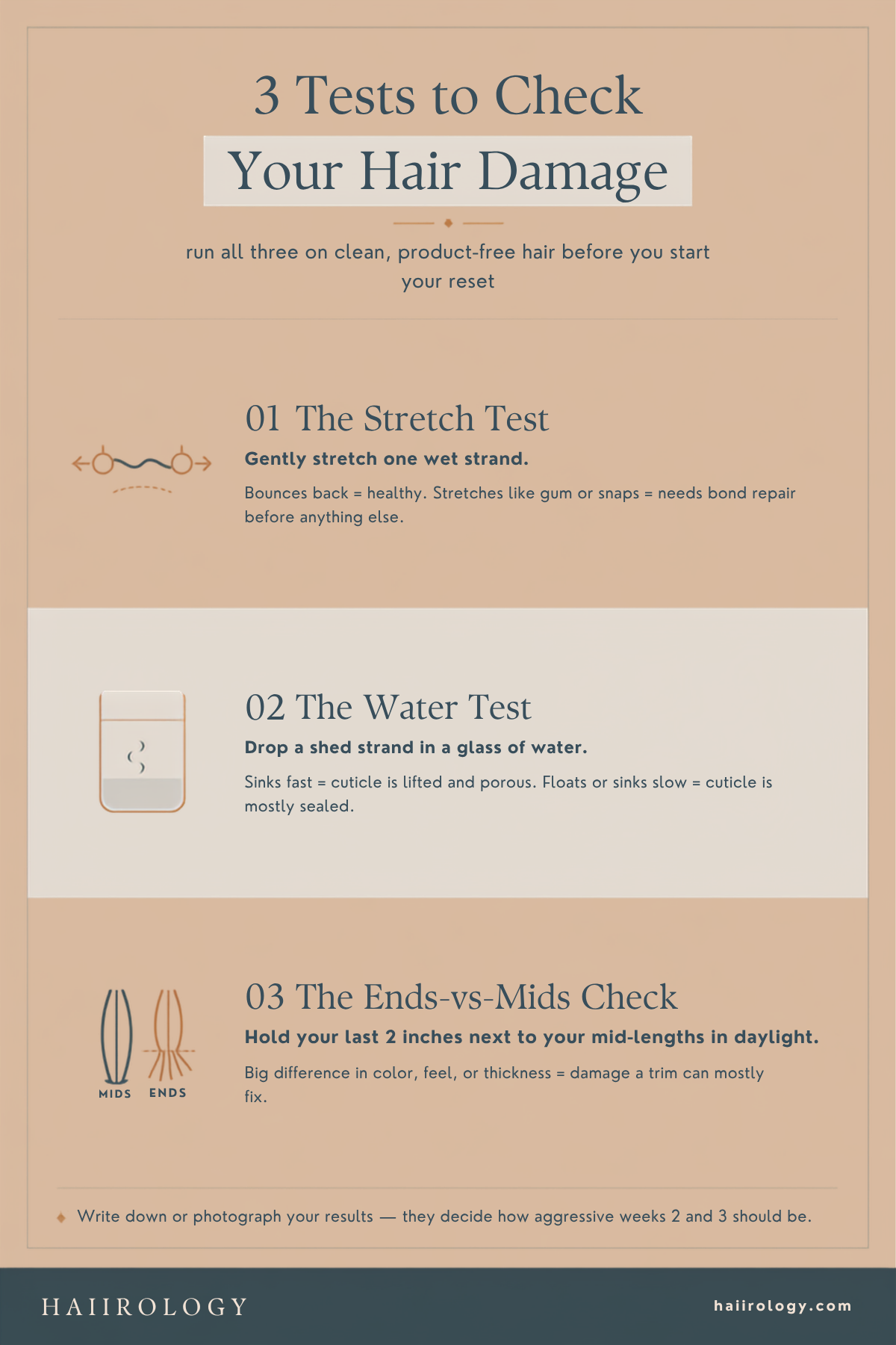 At home hair damage test infographic