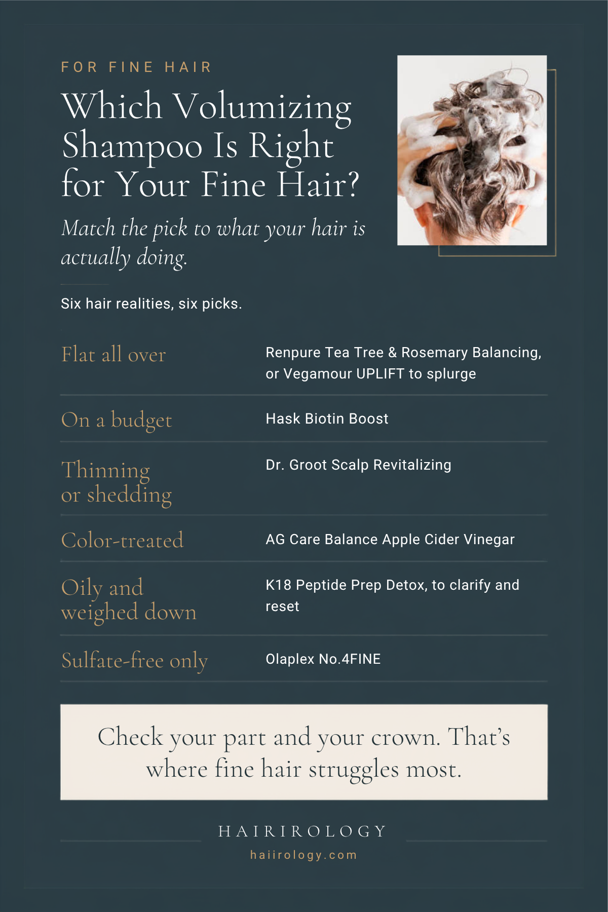 Which Volumizing Shampoo Is Right for You? infographic