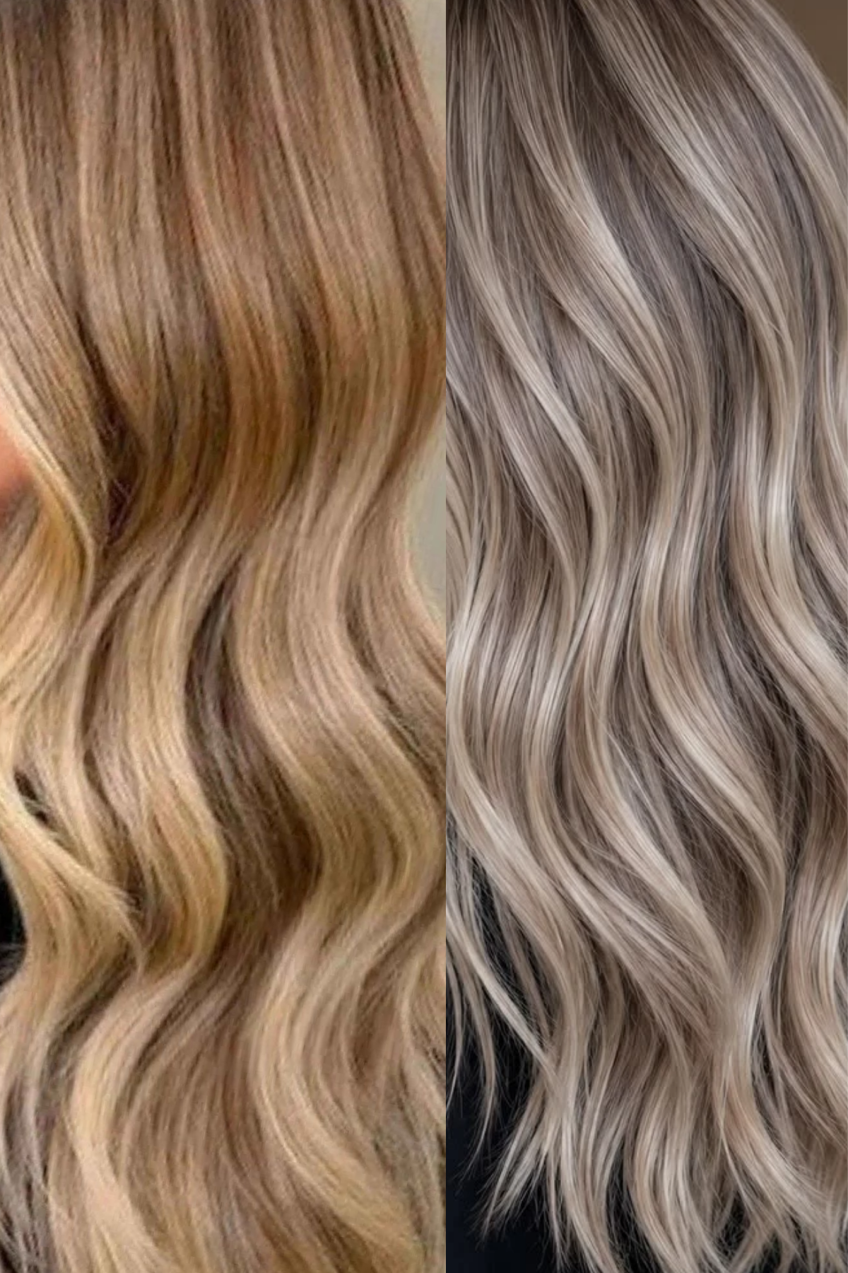 warm honey vs cool ash blonde highlight tones compared