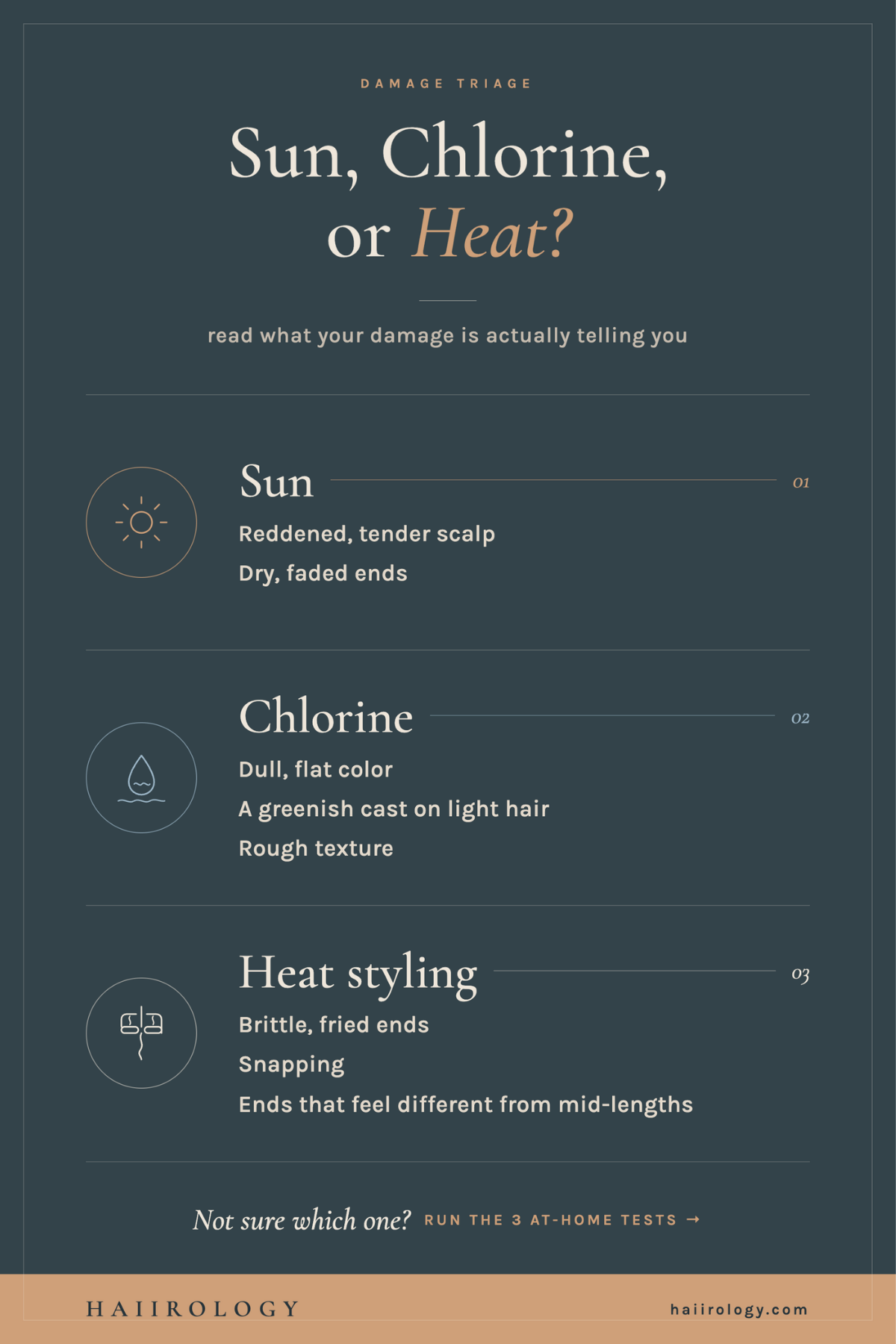 Summer Hair Damage you can have infographic