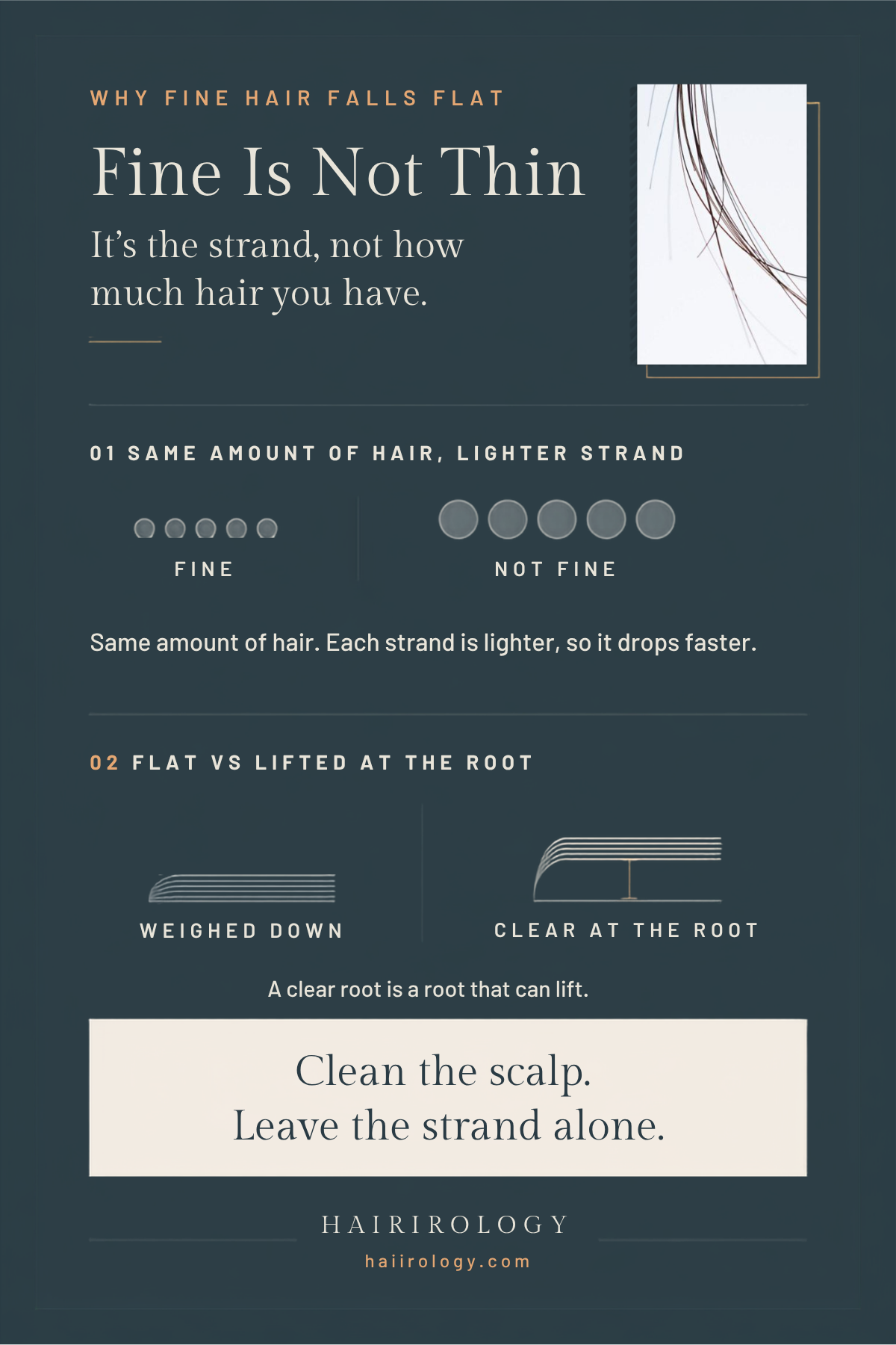 Why Fine Hair Falls Flat, and What a Volumizing Shampoo Actually Does infographic