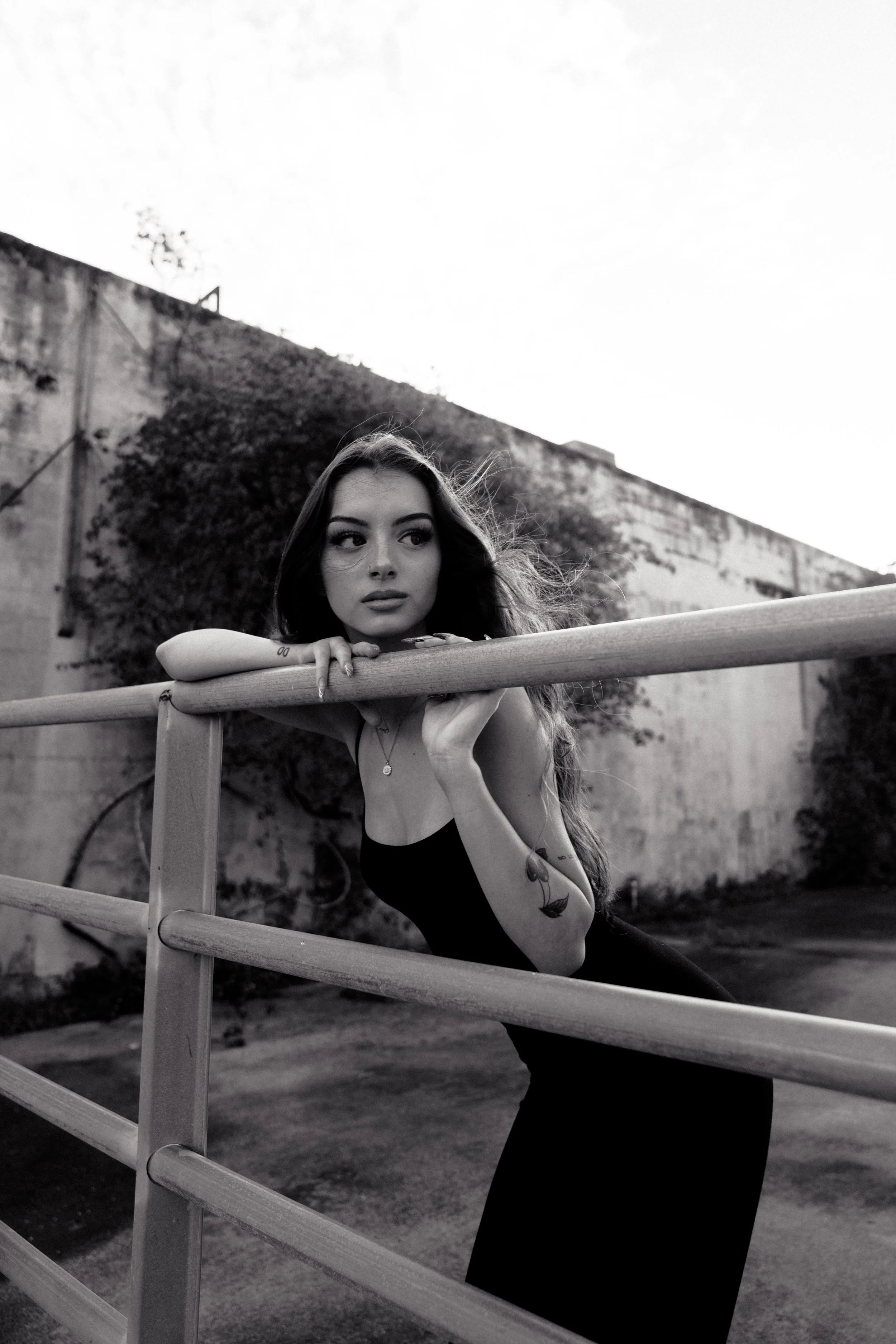 Shot by Zeus Vi