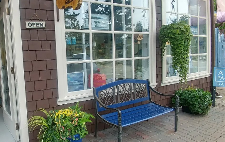 Arts Pacific Gallery