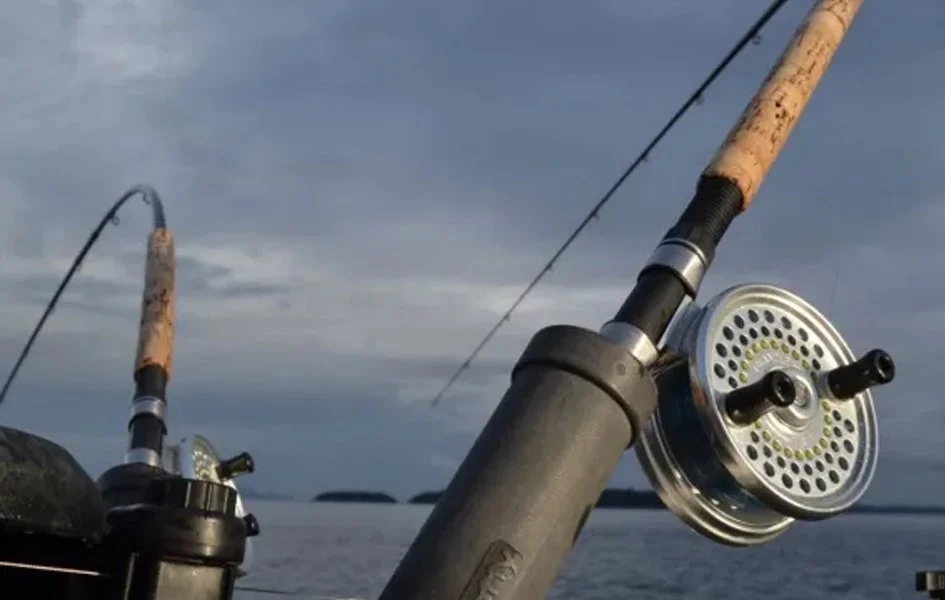 Bon Chovy Fishing Charters