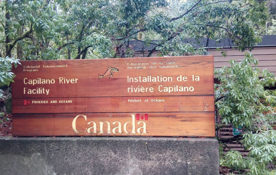 Capilano Salmon Hatchery