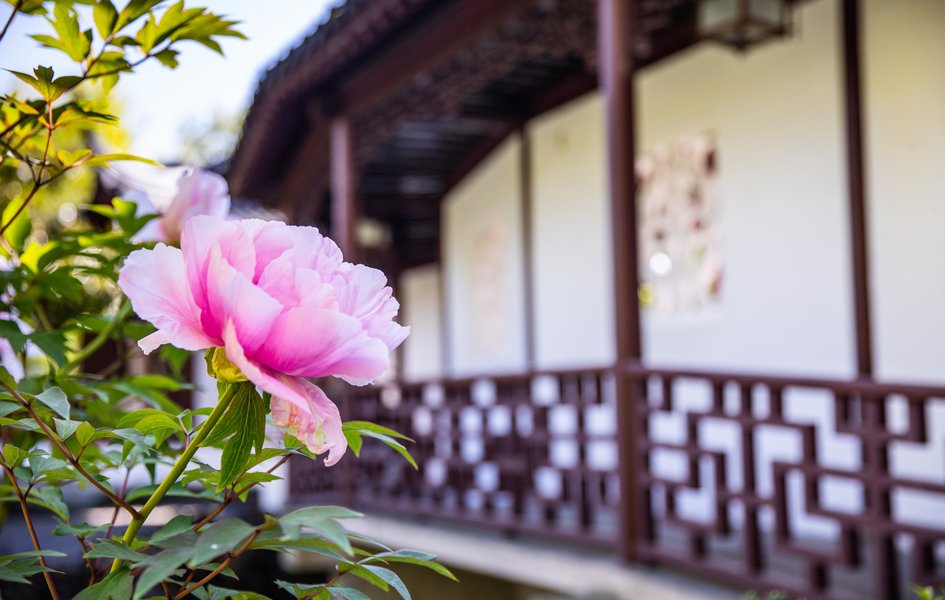 Dr. Sun Yat-Sen Classical Chinese Garden