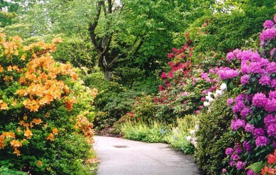 VanDusen Botanical Garden