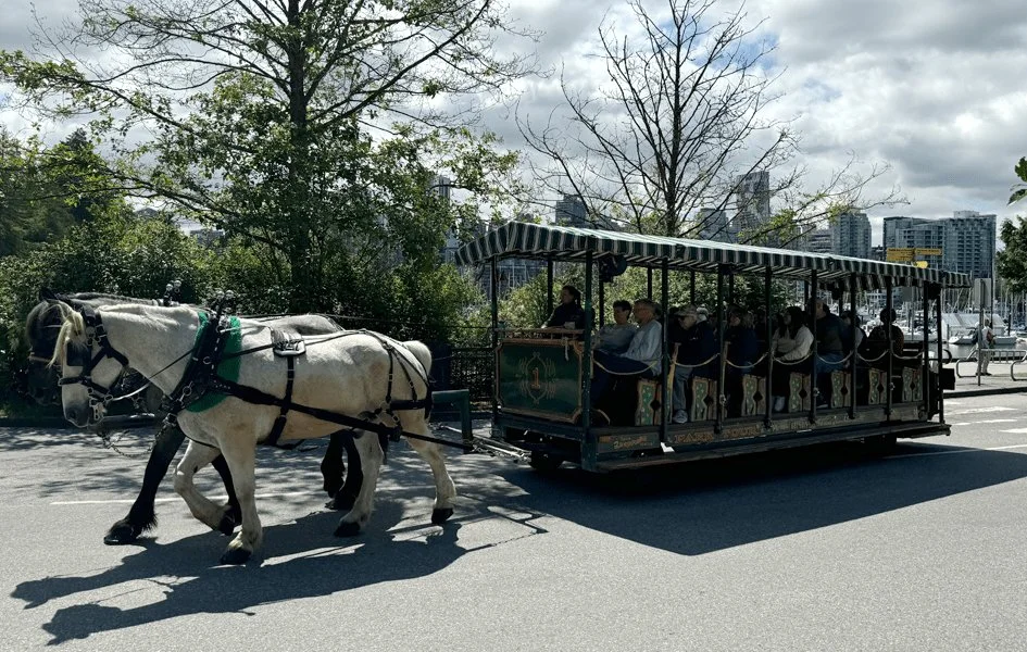Stanley Park Horse Drawn Tours