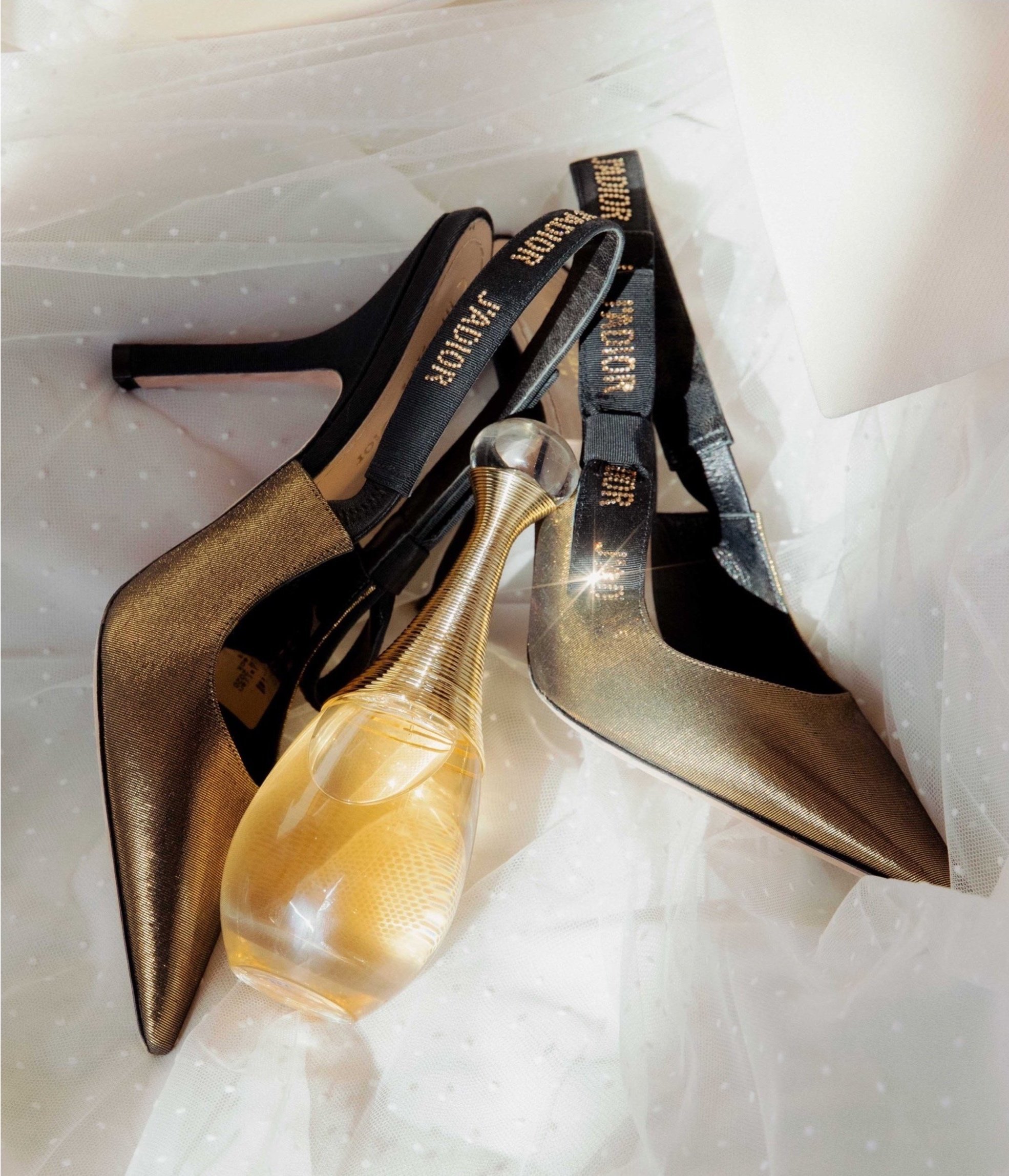 Dior by Cole Ferguson 2.jpg