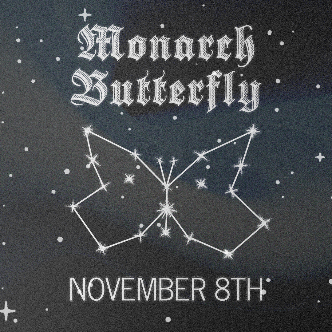 Monarch Butterfly Pinning Class - November 8th