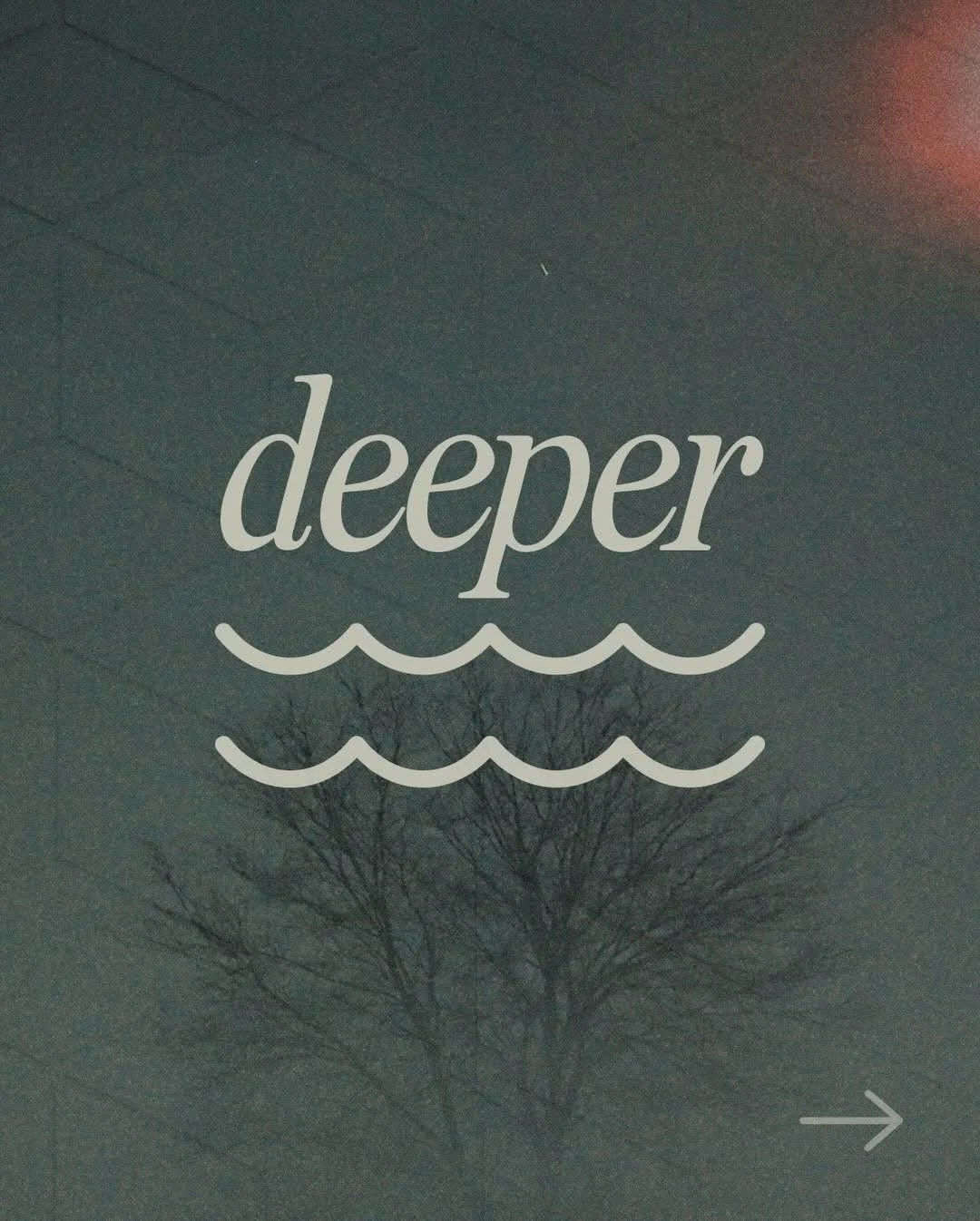Roots That Reach Deep – 5-Day Devotional
