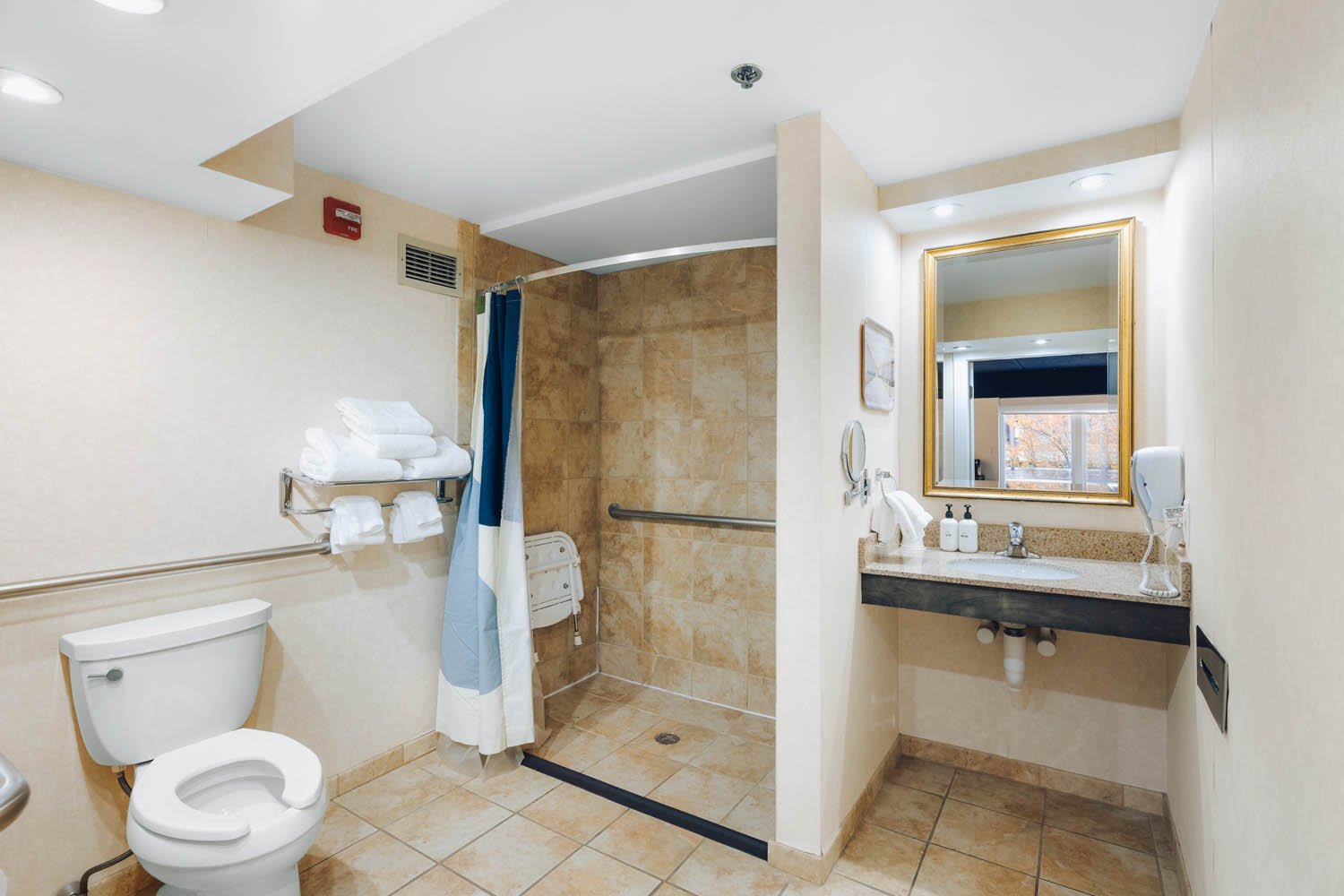 Standard King Accessible - Roll-In Shower - HotelDownstreet-1KingACCRoll-212_12.jpg