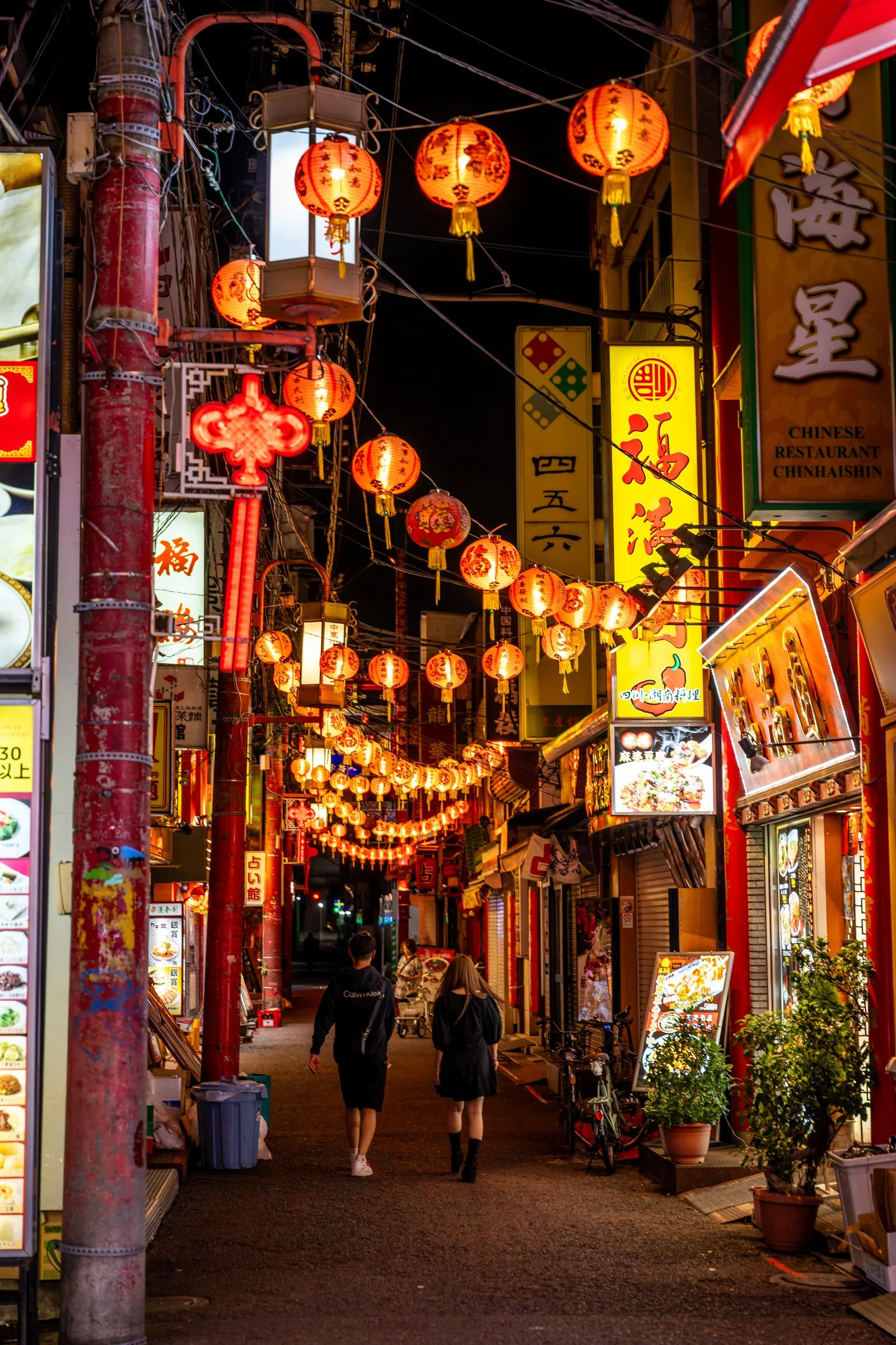 DSC00174-DxO_DeepPRIME 3-topaz-sharpen.jpg