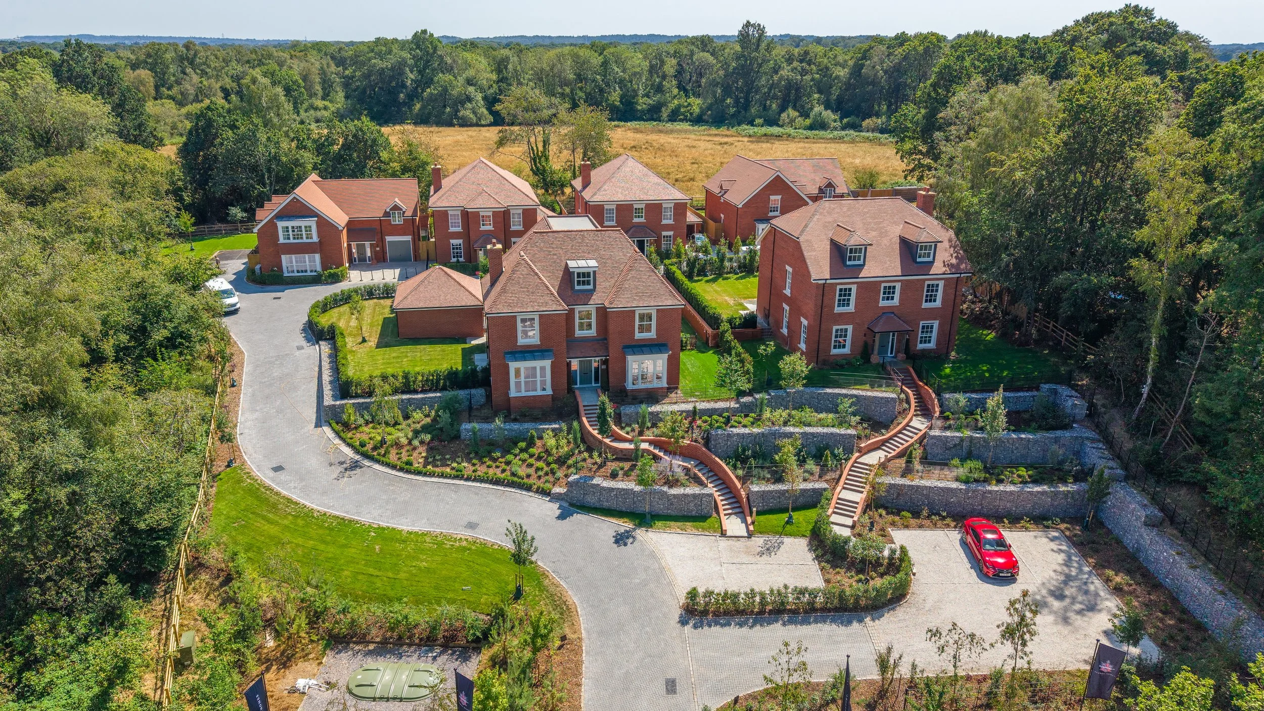 DJI_20260729143359_0331_D-DxO_DeepPRIME 3.jpg