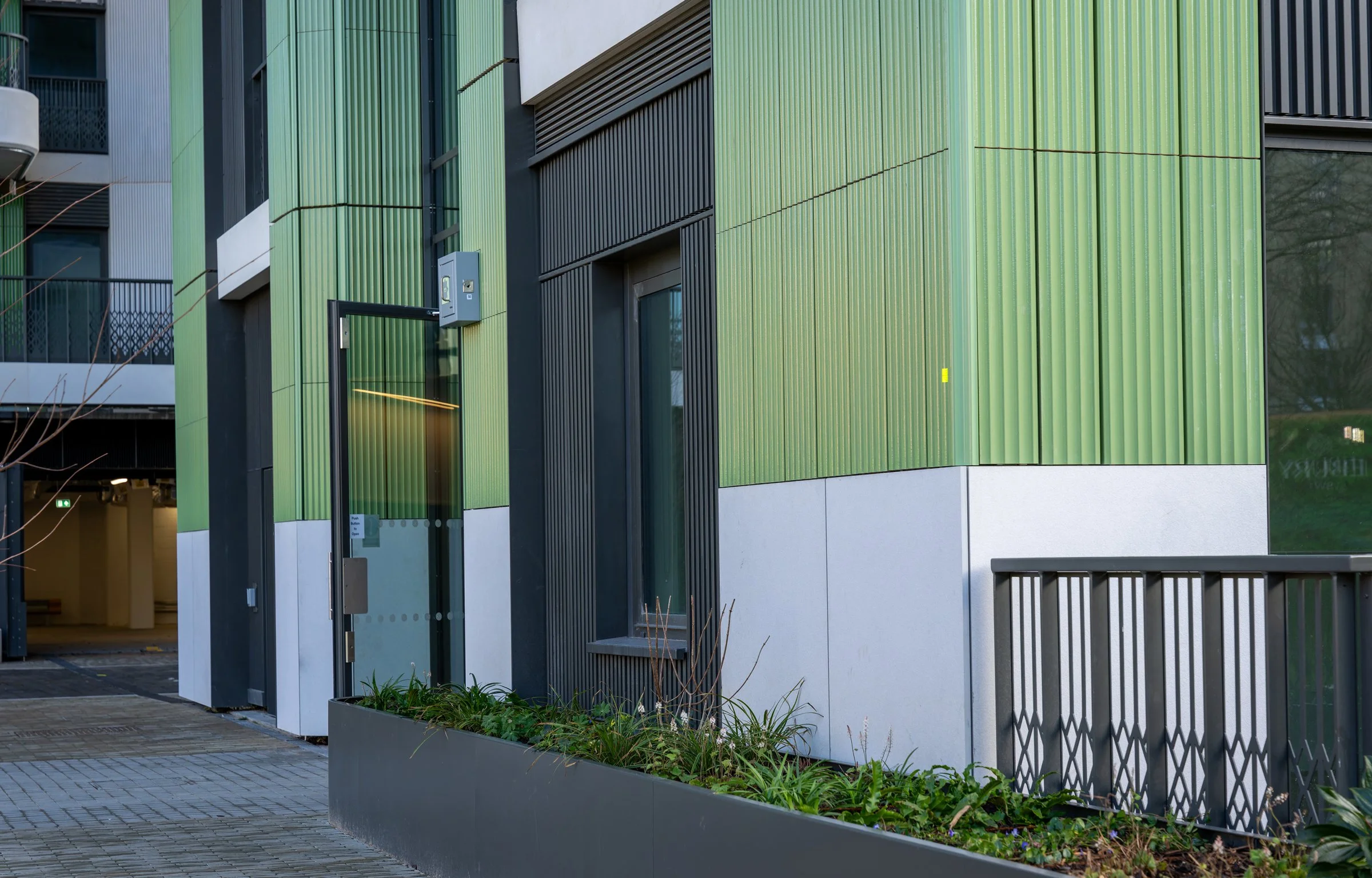 DSC03189-DxO_DeepPRIME XD2s.jpg